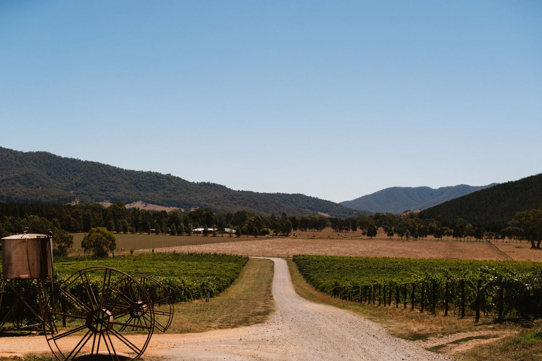 KJ Featherop Winery Wedding Bright-Dean Raphael Weddings-4.jpg