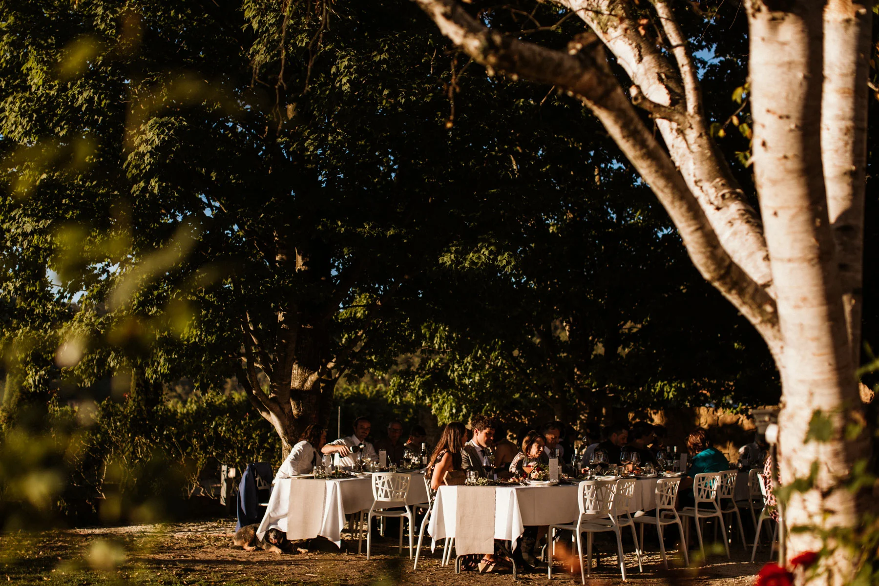 KJ Featherop Winery Wedding Bright-Dean Raphael Weddings-138.jpg