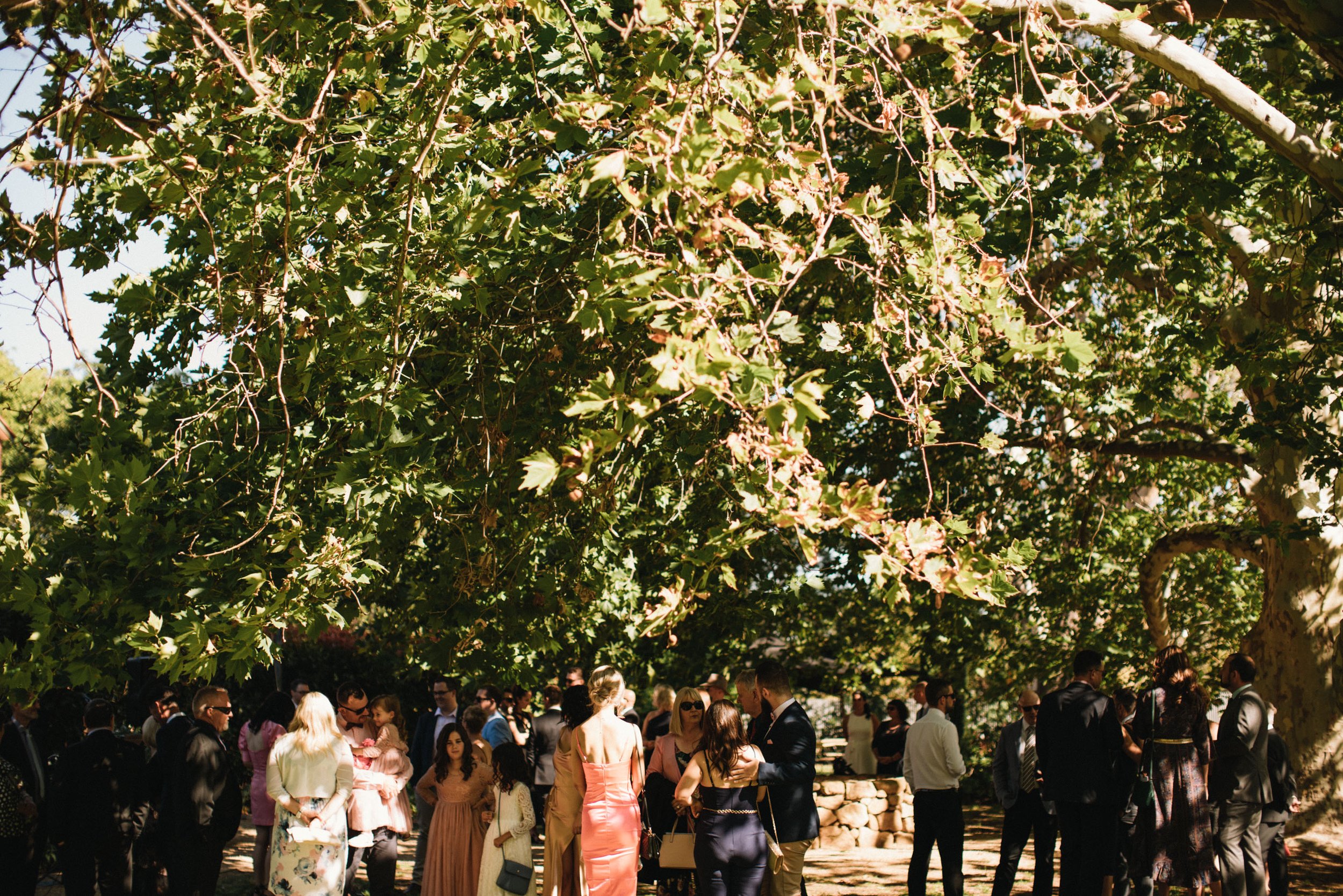 Euroa Butter Factory Wedding Photos-Dean Raphael-Melbourne Wedding Photographer-61.jpg