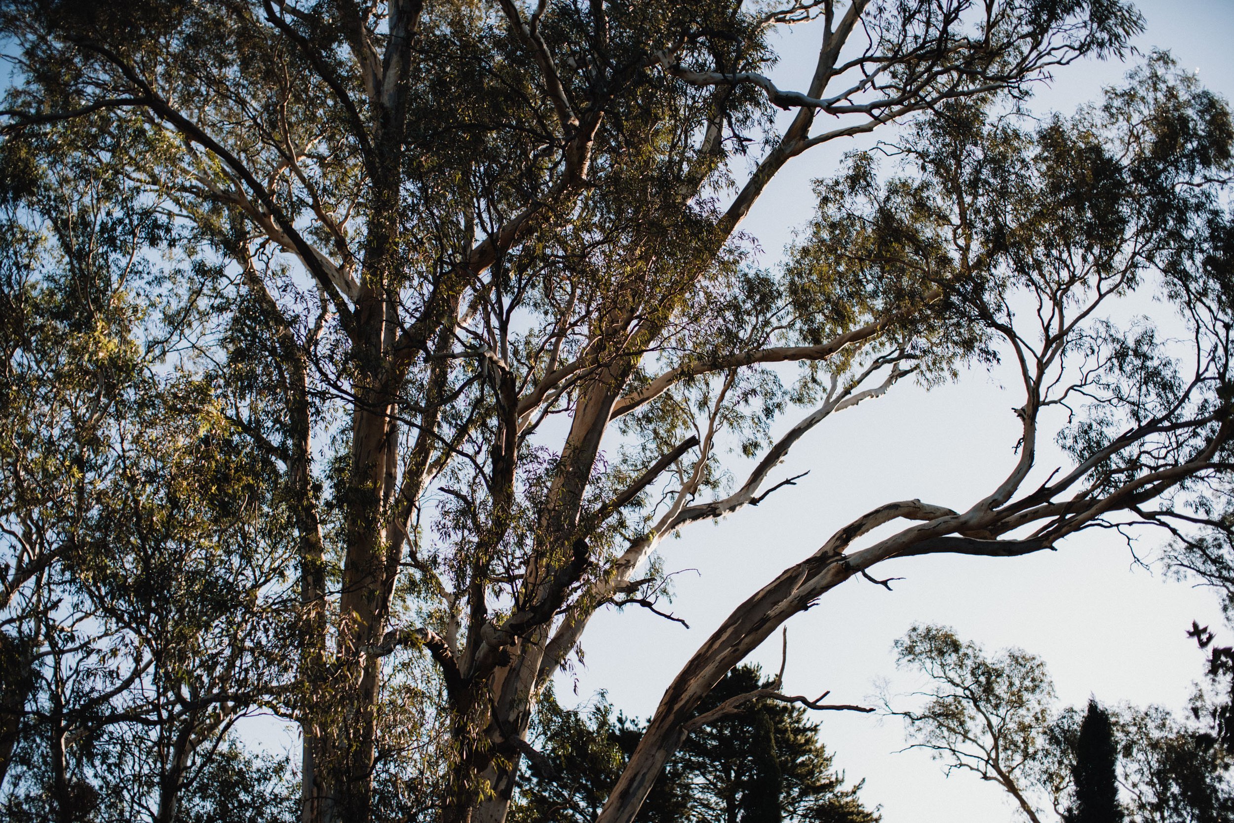 Euroa Butter Factory Wedding Photos-Dean Raphael-Melbourne Wedding Photographer-101.jpg