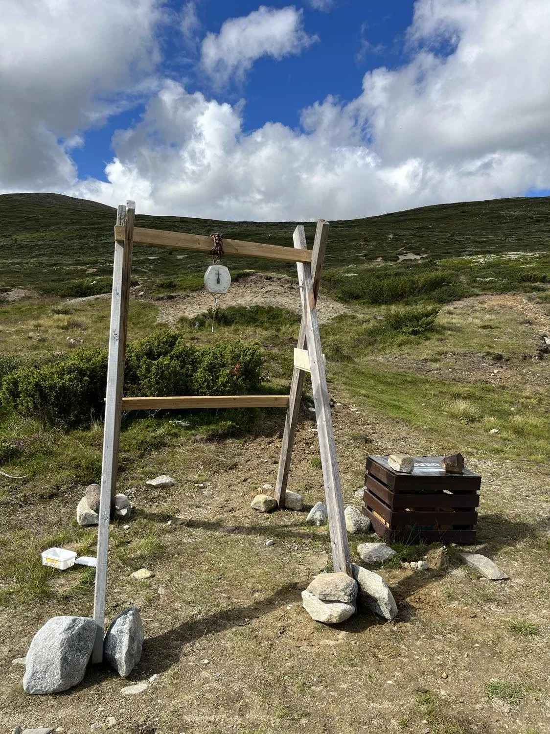 Info villreinjakt 2024