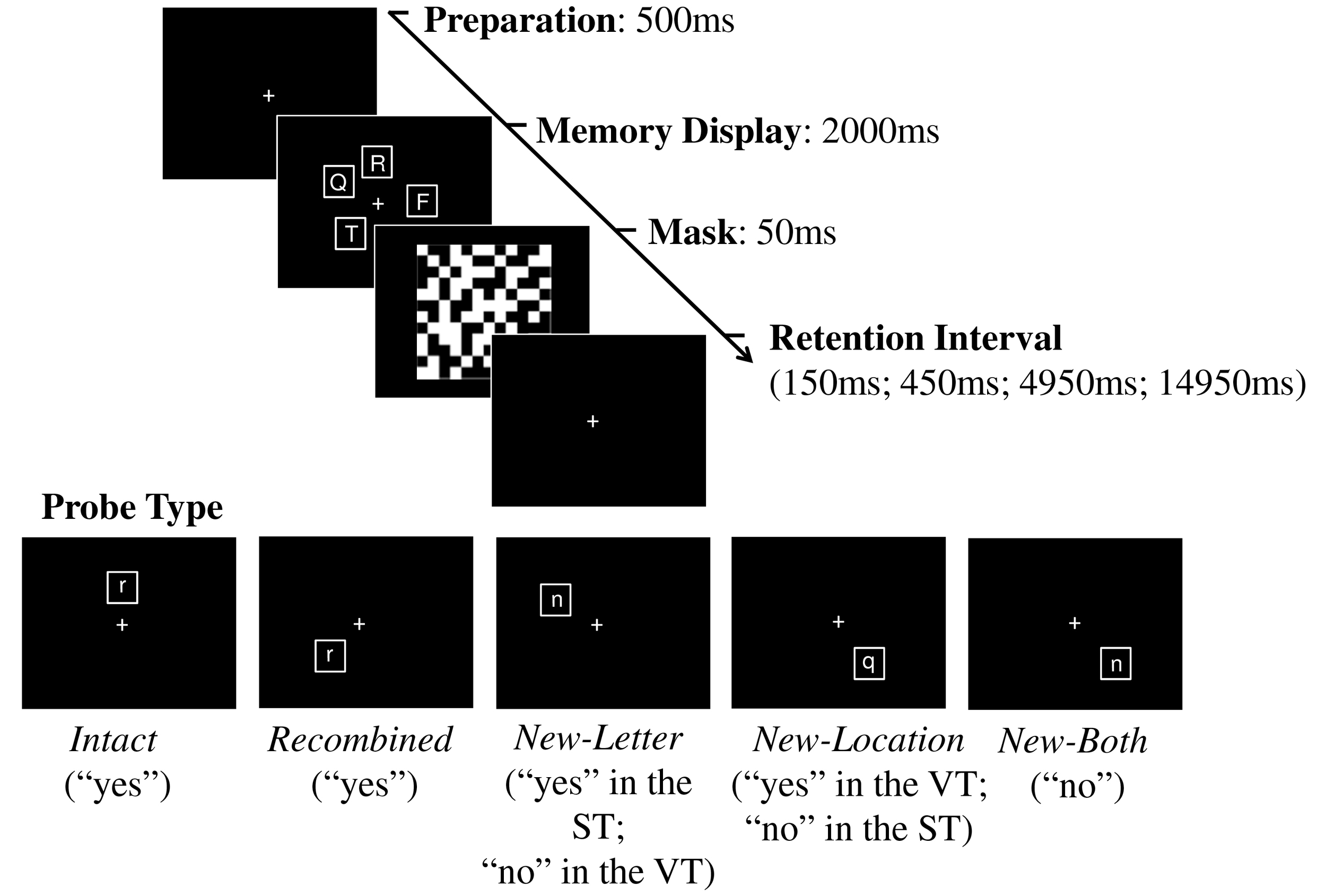 Schematic illustration of trial types in the Verbal Task (VT) and the Spatial Task (ST), with corresponding correct responses. Participants were presented with an array of consonants in distinct locations. In the verbal task participants were instructed to remember the consonants. In the spatial task, they remembered the locations. Following a visual mask and a retention interval of variable duration, they were asked to judge a probe consonant and press a "yes" key if the probe represented one of the to-be-remembered consonants (verbal task) or locations (spatial task), and to press the "no" key otherwise.