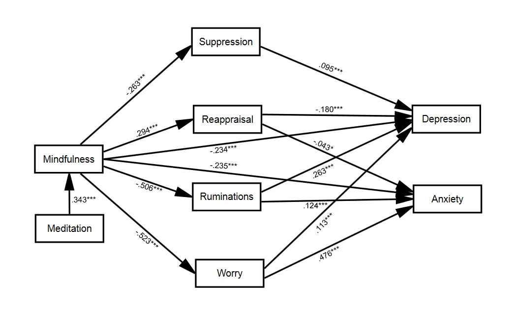 Direct and indirect relationships between mindfulness and depression/anxiety, taking into account the meditating role of emotional regulation (cognitive reappraisal and emotive suppression), rumination and worry. Numbers represent the standardized path coefficients. * p<.05, ** p<.01, *** p<.001
