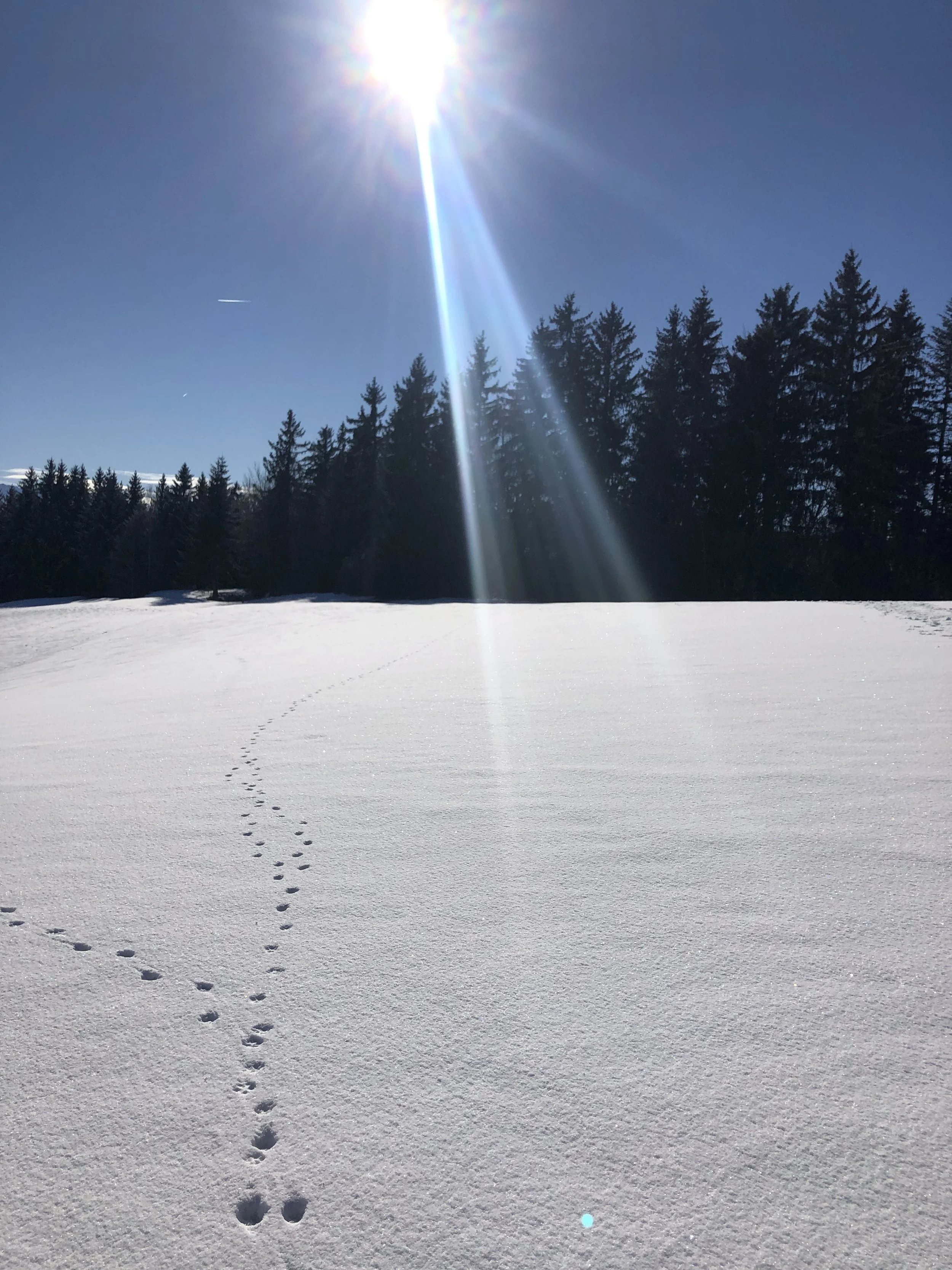 Yogaretreat in der Weihnachtszeit / Besinnung &amp; Rückzug