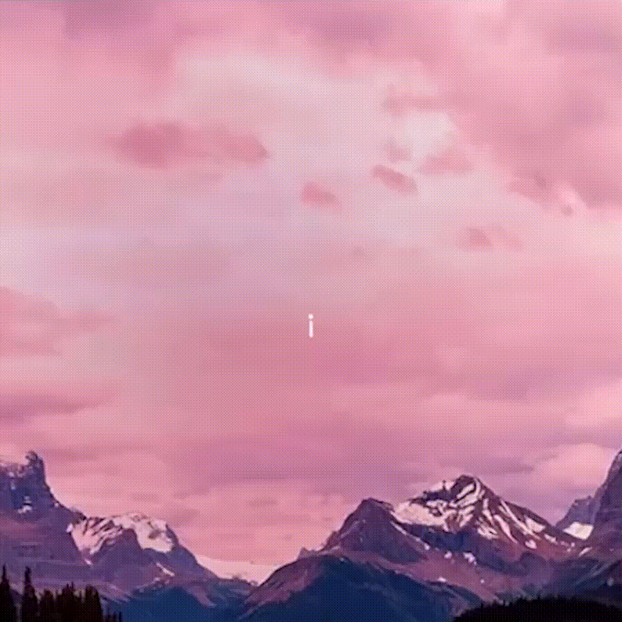 navidad avoris avatar.gif