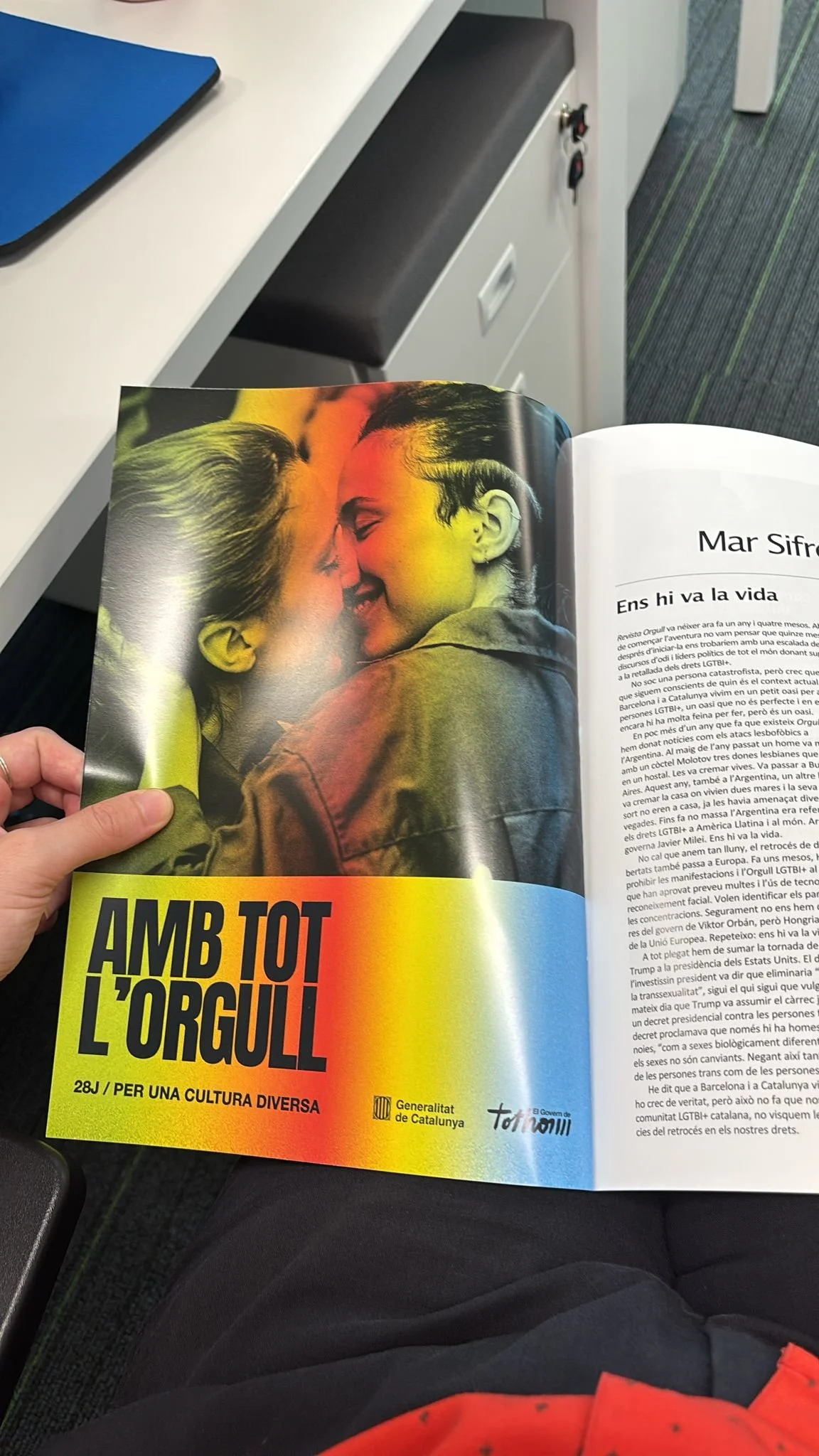 WhatsApp Image 2025-07-02 at 13.17.26.jpeg