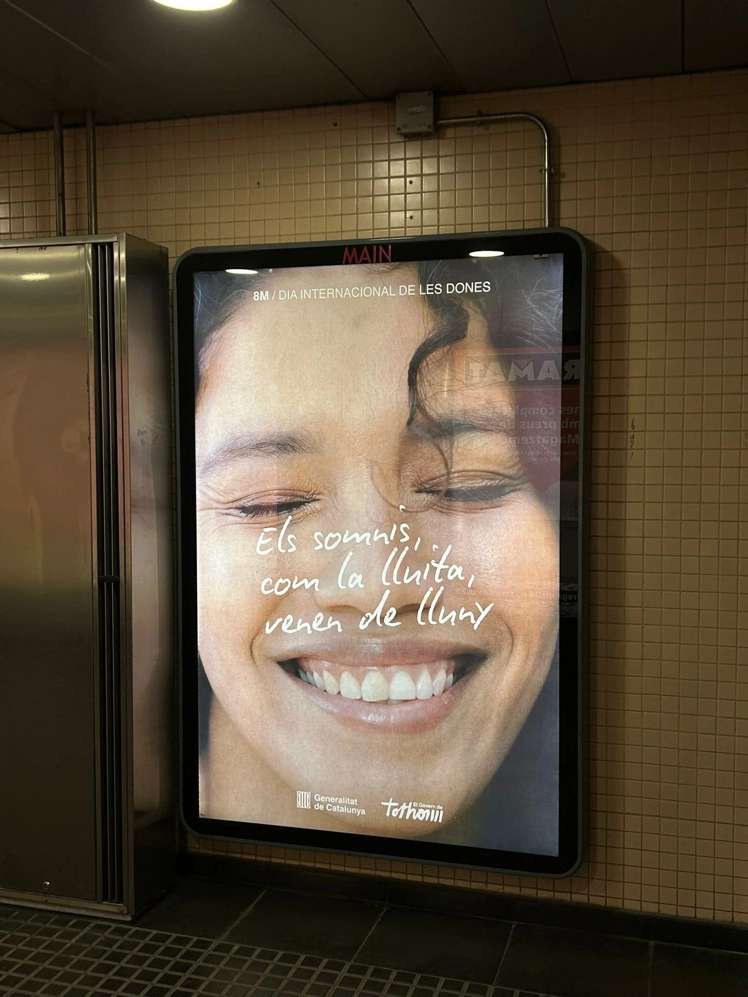 ac72dbd3-9a8e-4bf8-95da-5b87111d7629 (còpia).JPG