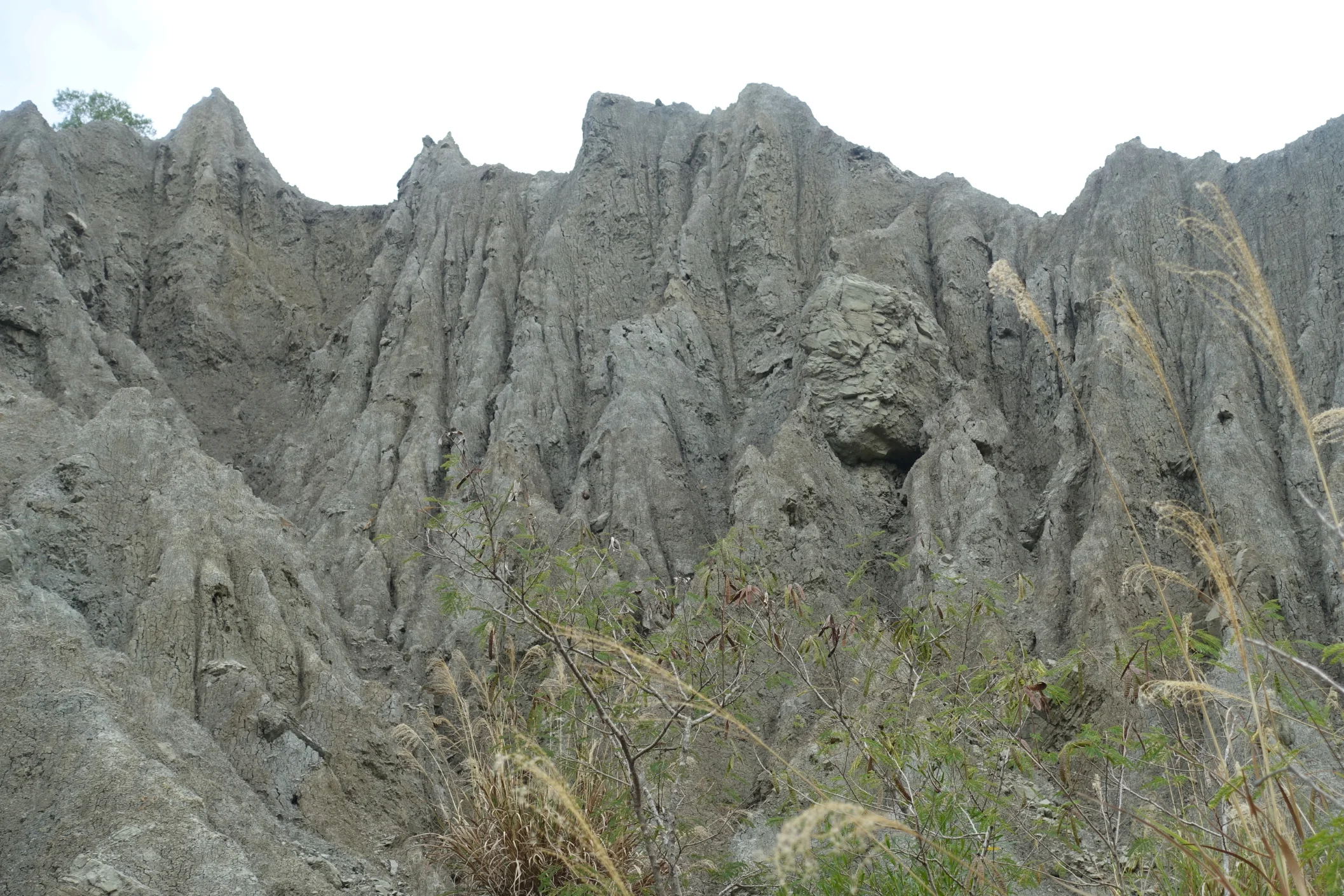 d74DSC03149.jpg
