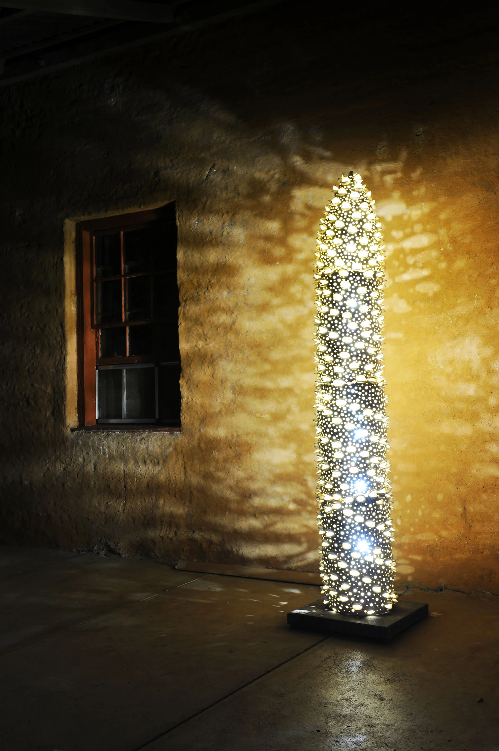 Bush Reflection by Ella Szpindler