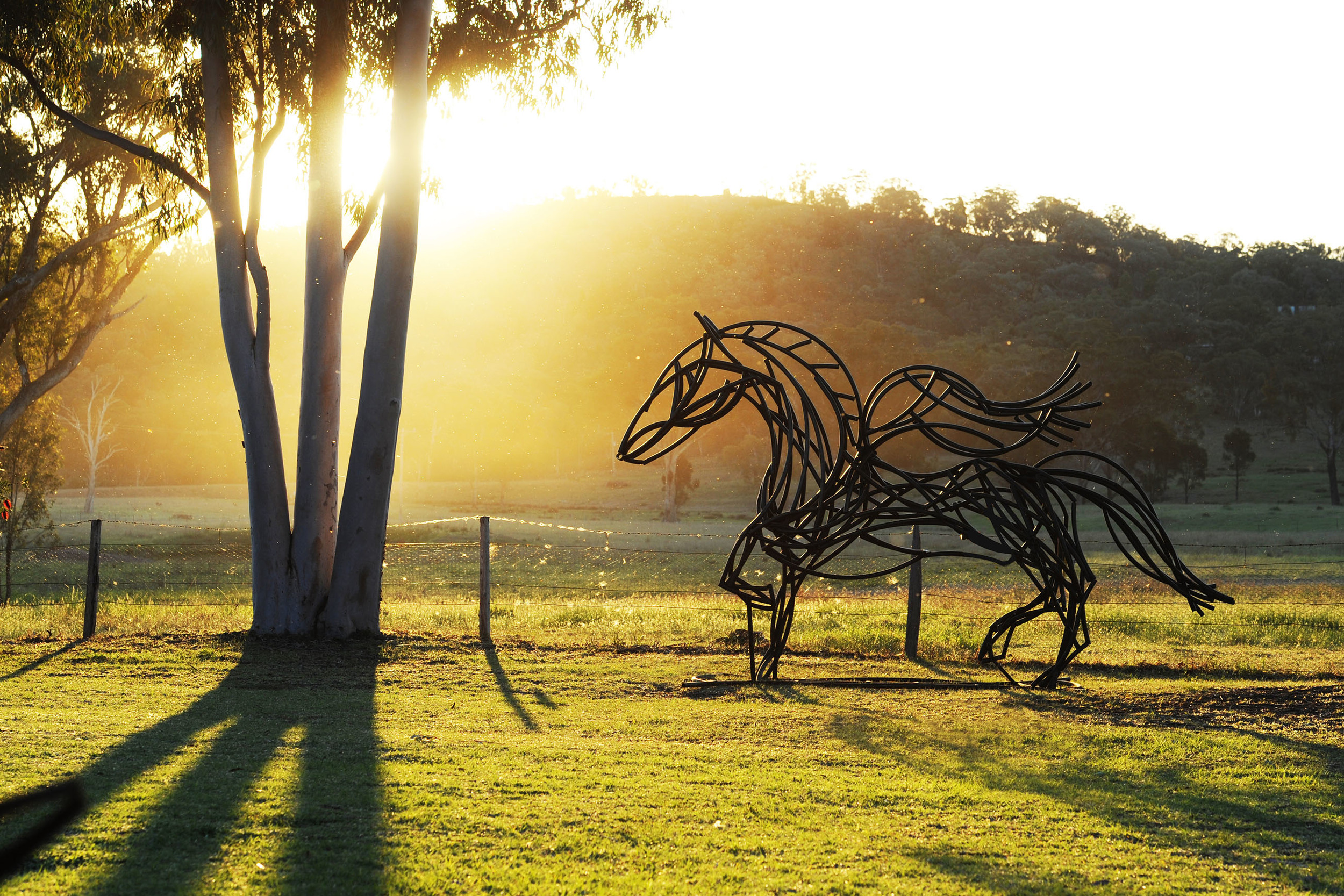 Pegasus by Tobais Bennett&nbsp;  Photographer: Amber Hooper