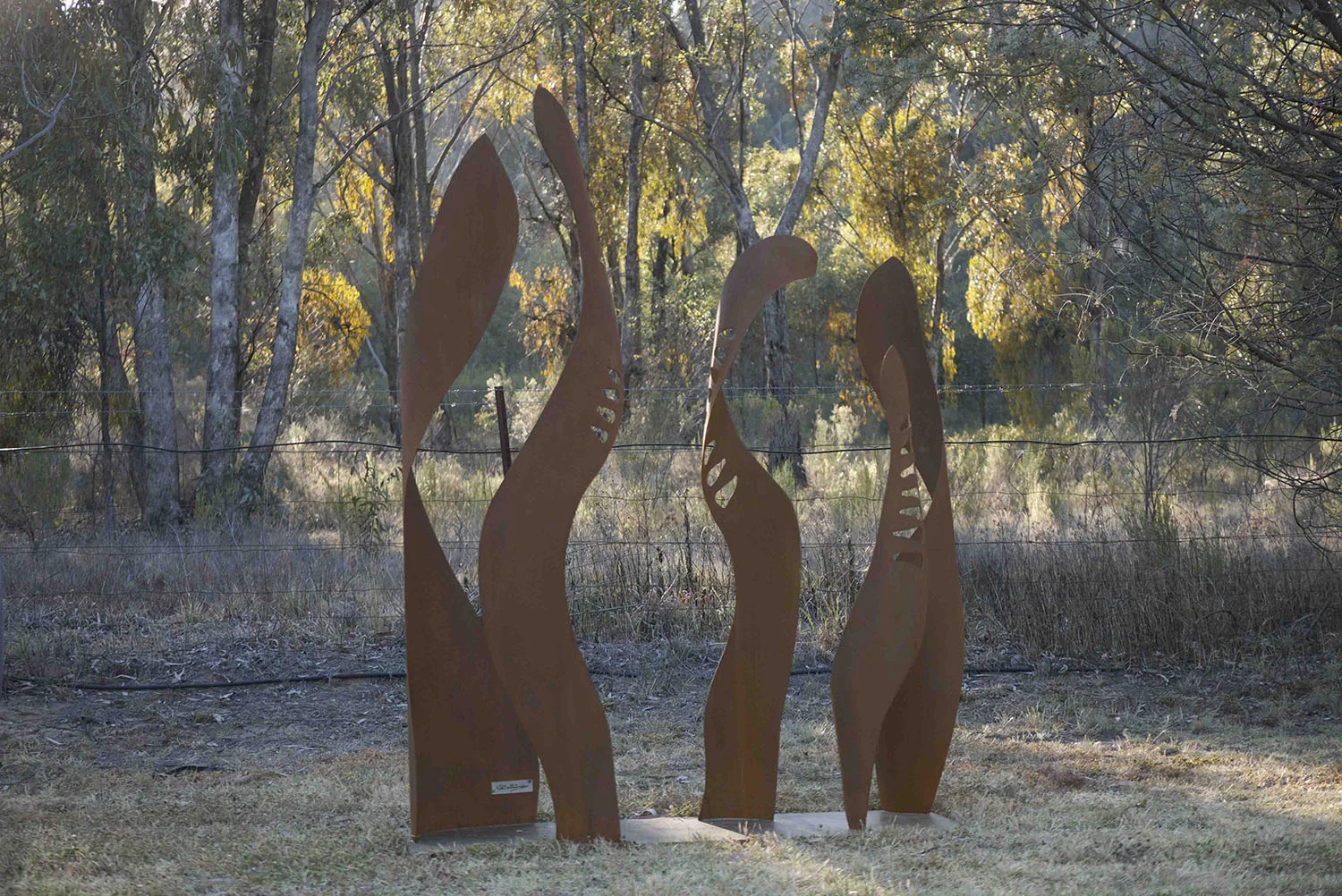 Flame Pods by Jen Mallinson