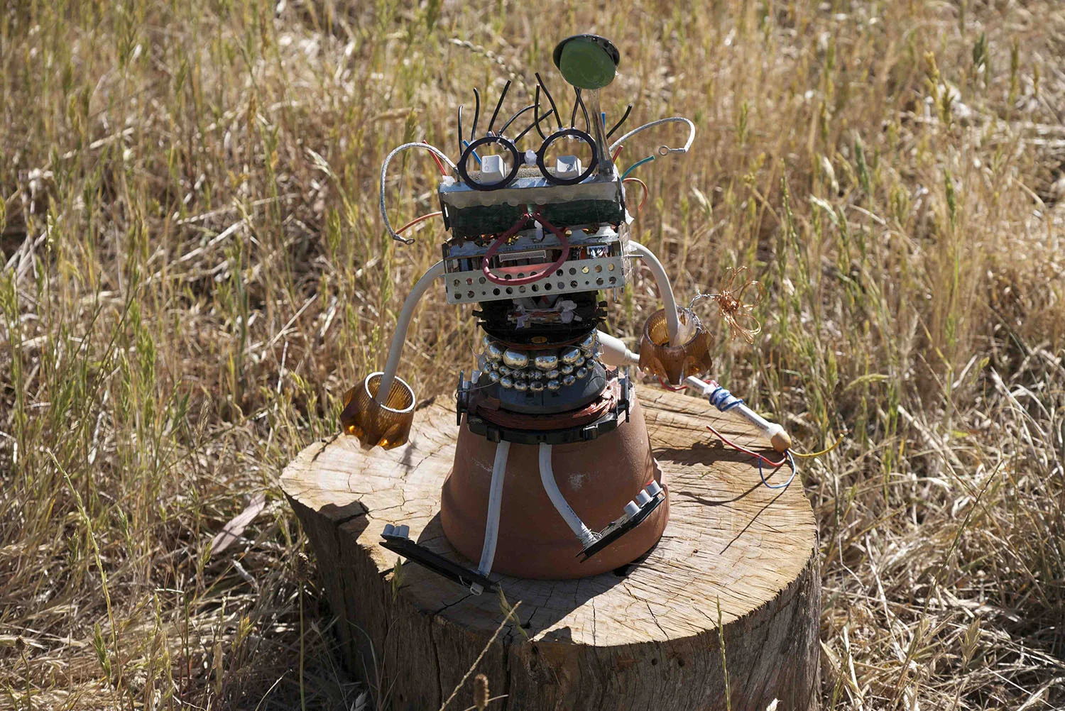 Sculptures in the Garden for Kids!