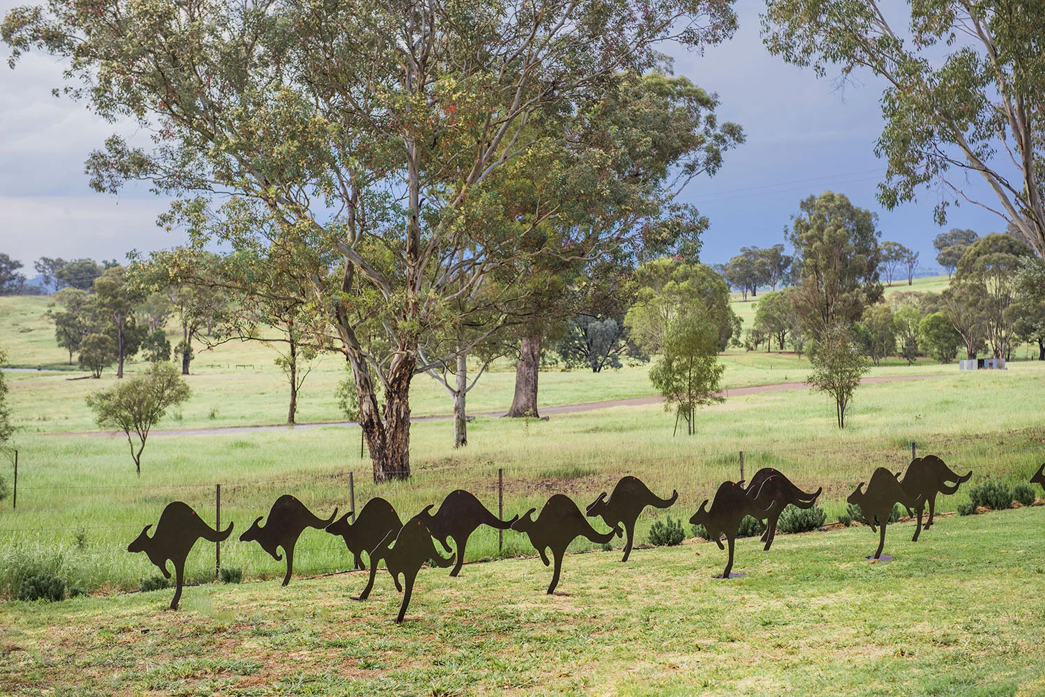 The Mudgee Mob by David Doyle