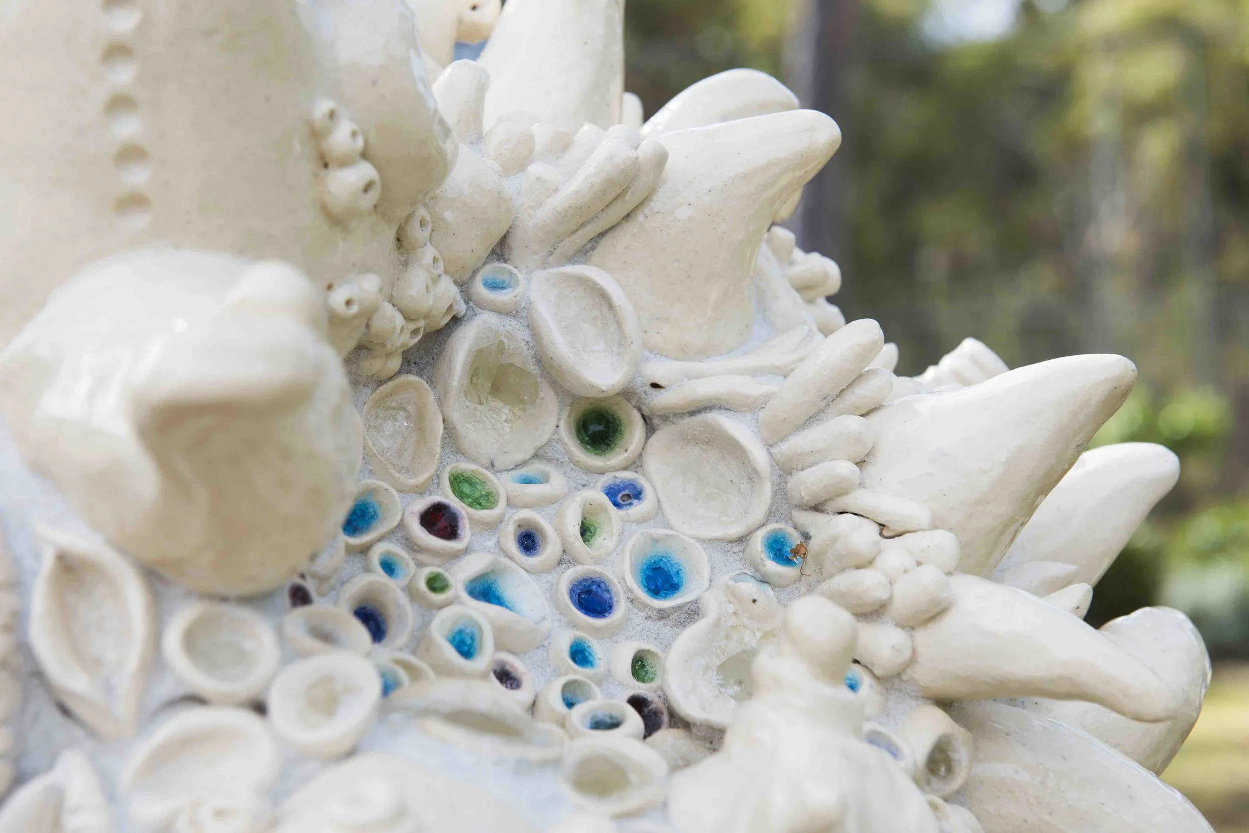 'Reef' by Dóra Rögnvaldsdóttir The Reef - Anthozoa of phylum.