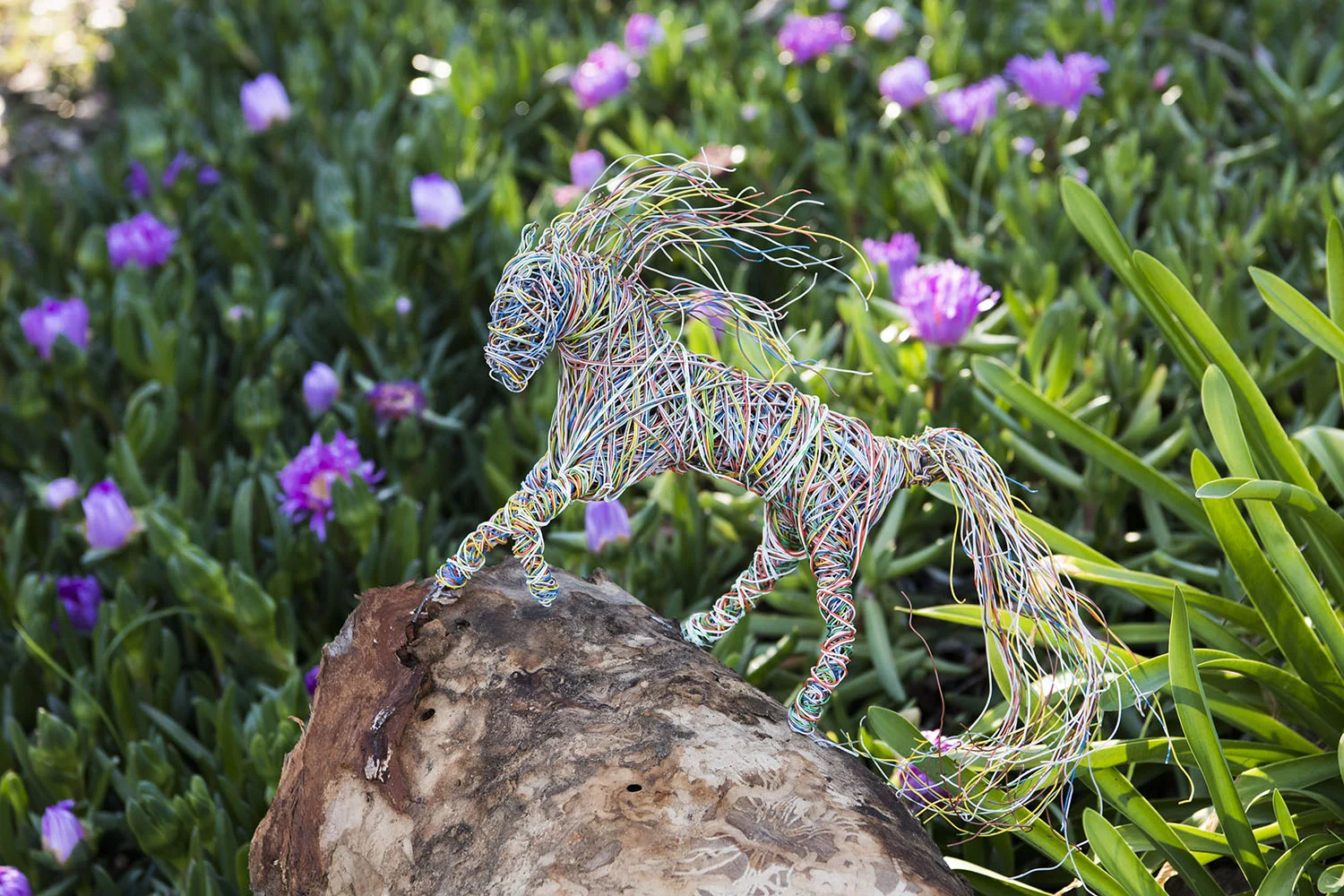 Tangled Technology by Allison Garoza