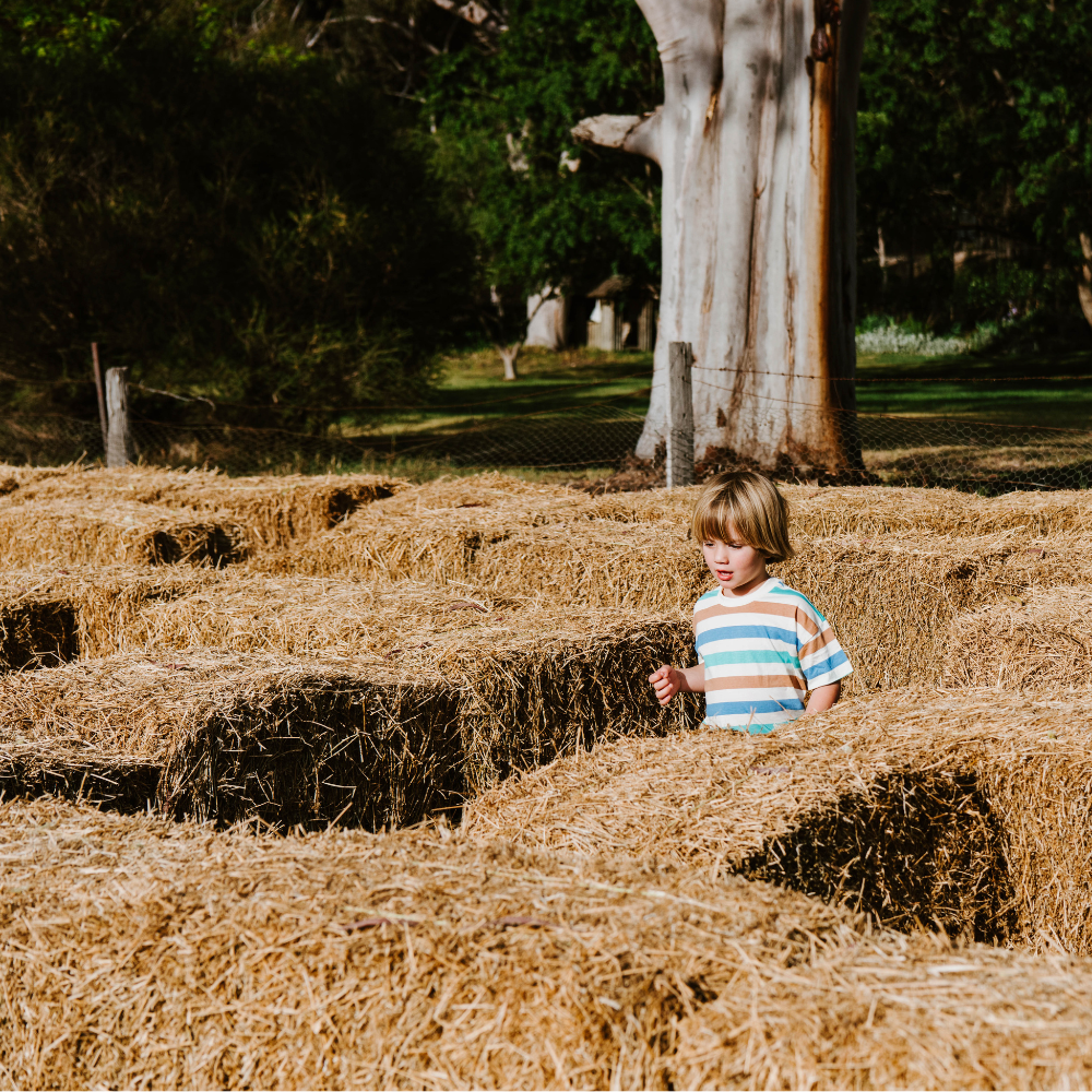 KIDS HAY BALE MAZE