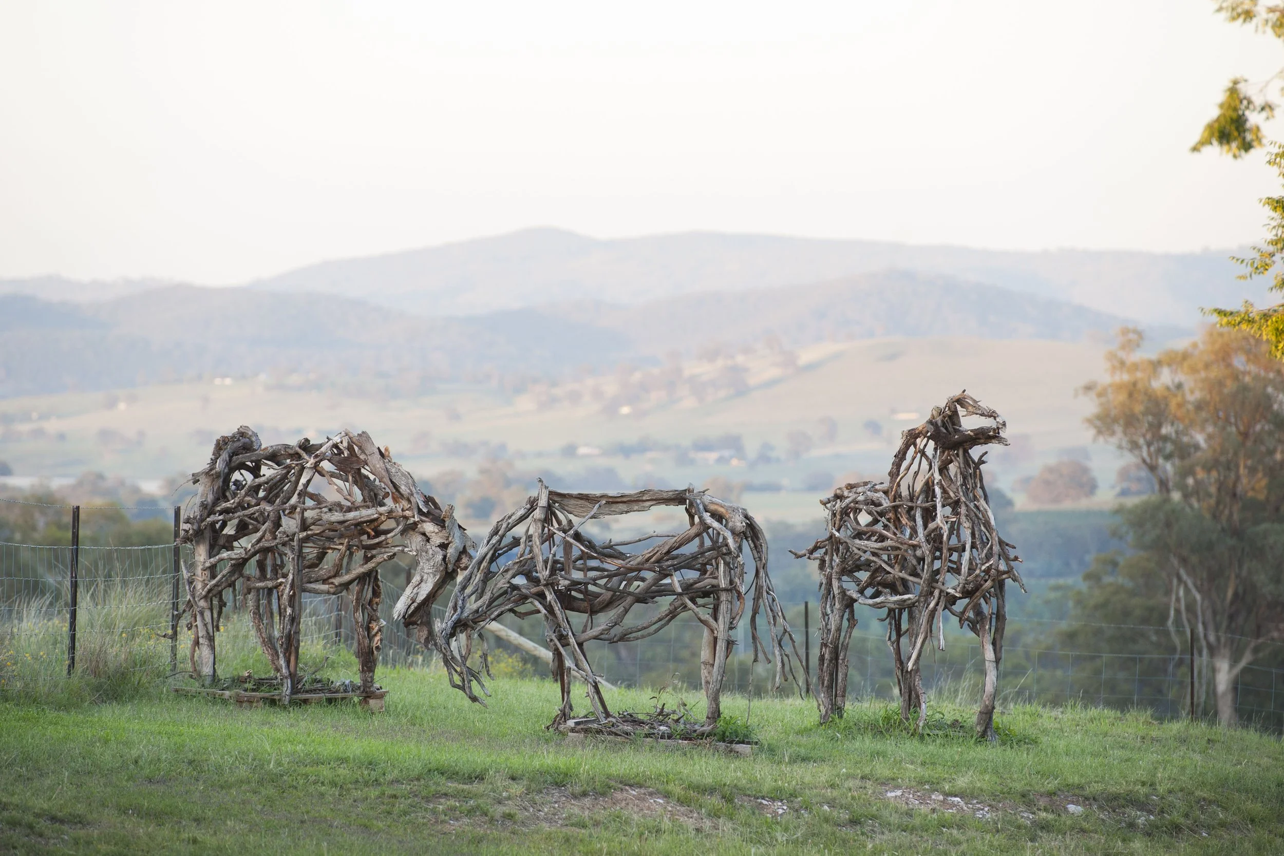MY KINGDOM FOR A HORSE — COMMUNITY SCULPTURE PROJECT