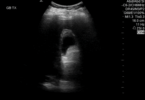 1b.gif