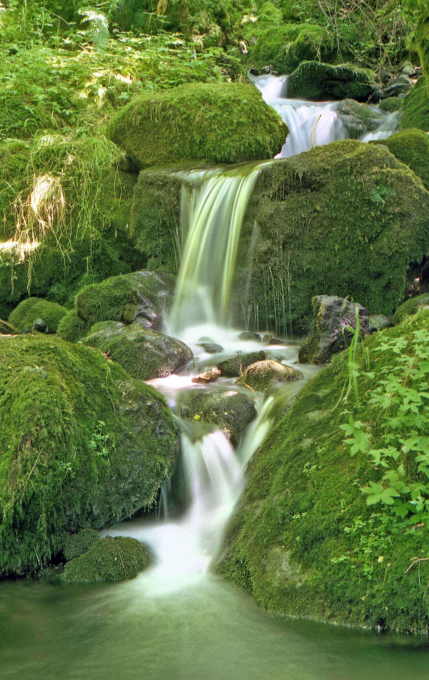 Lerab Ling Waterfall