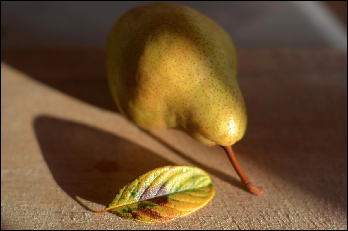 Autumn pear