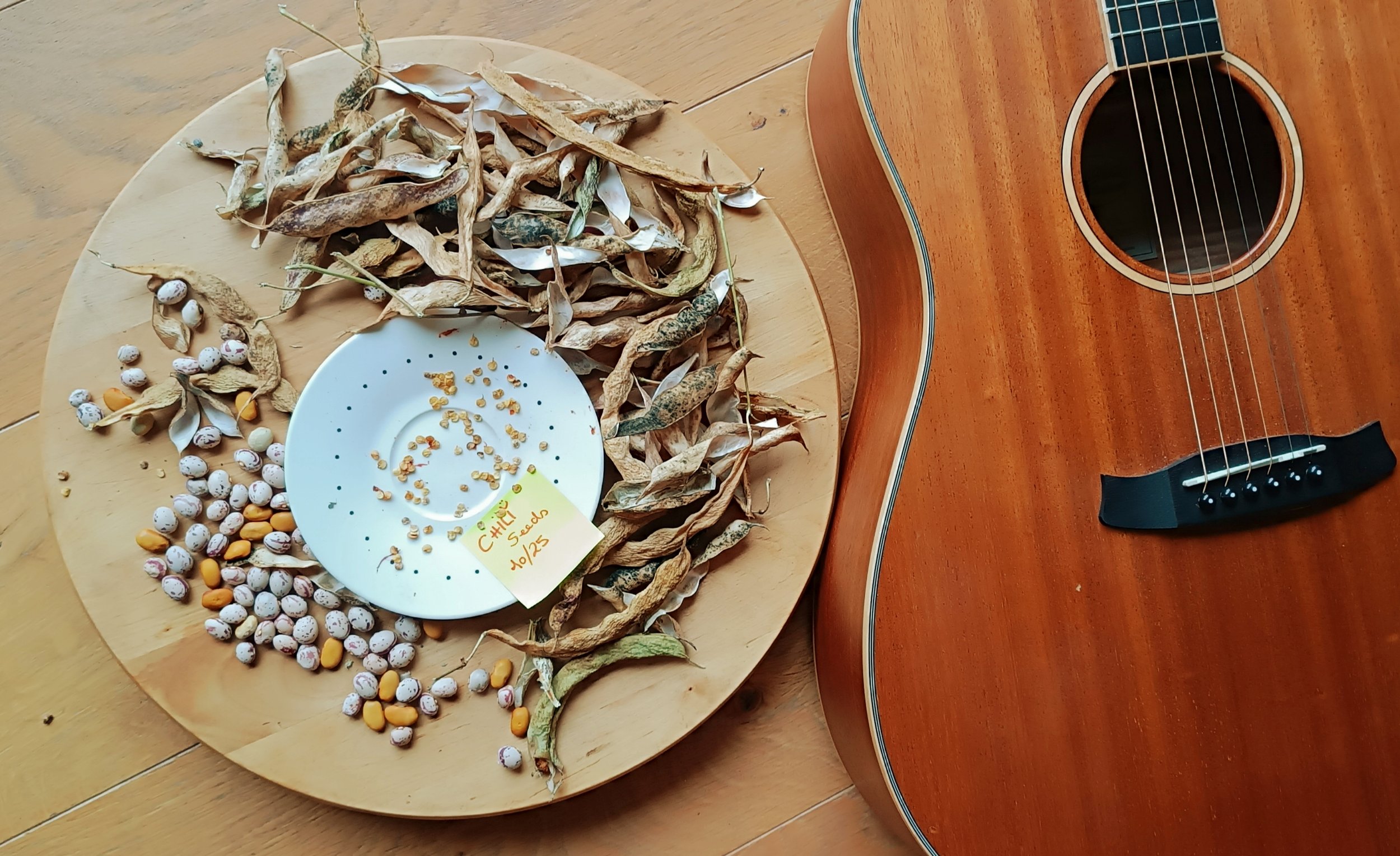 Drying seeds for next year's planting, and my Tanglewood guitar