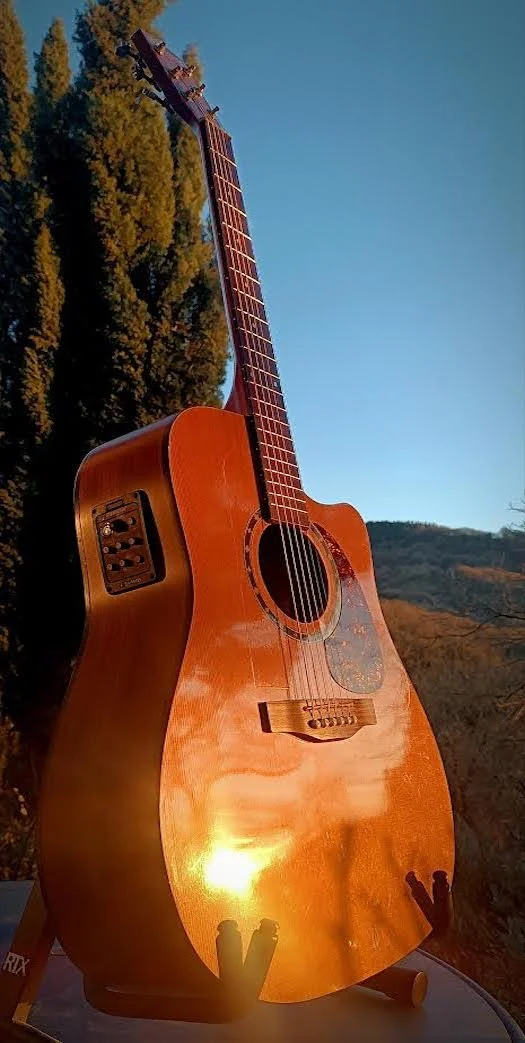 My Guitars - Norman Studio st40