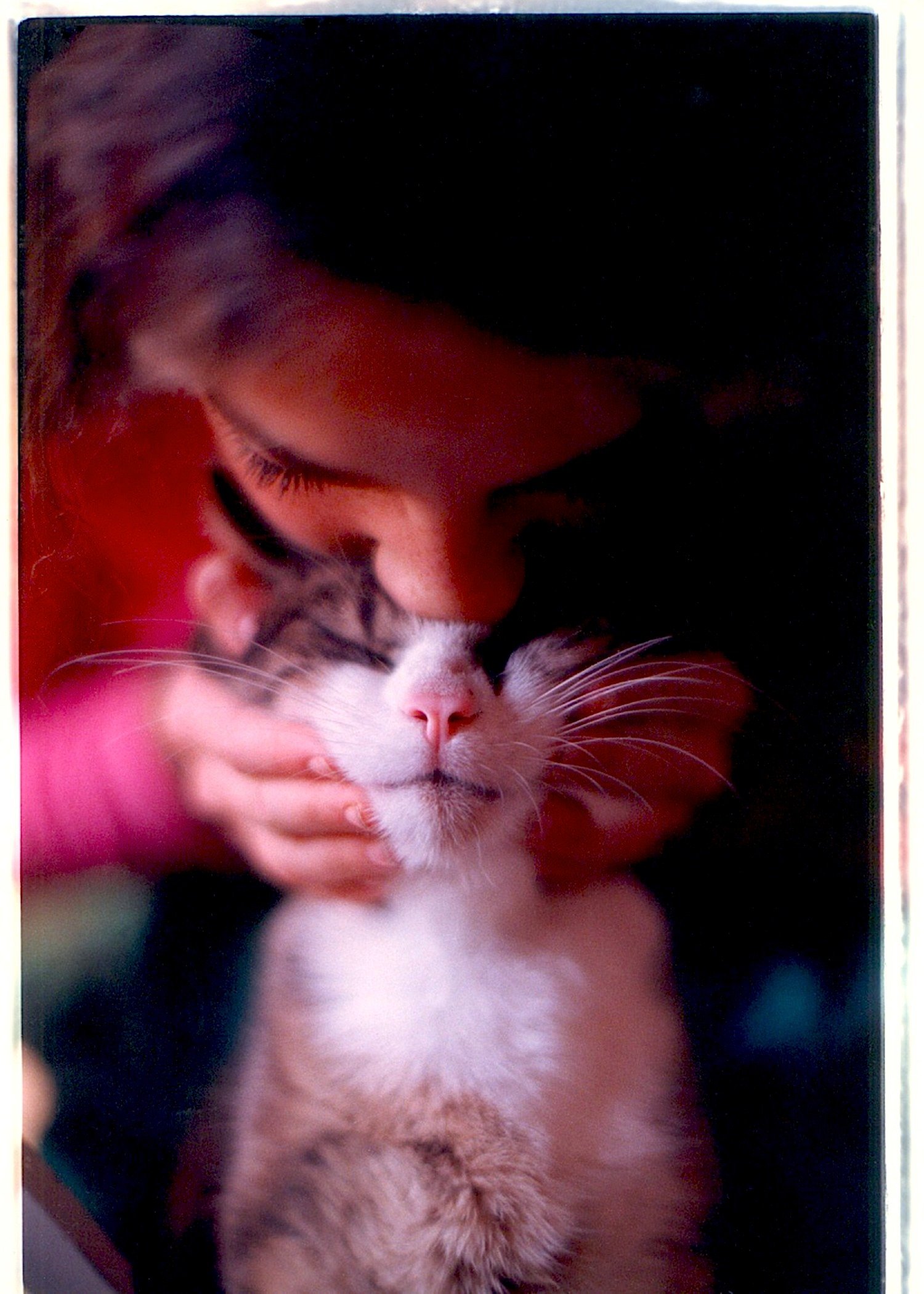 Loving Bubble the cat - 1983
