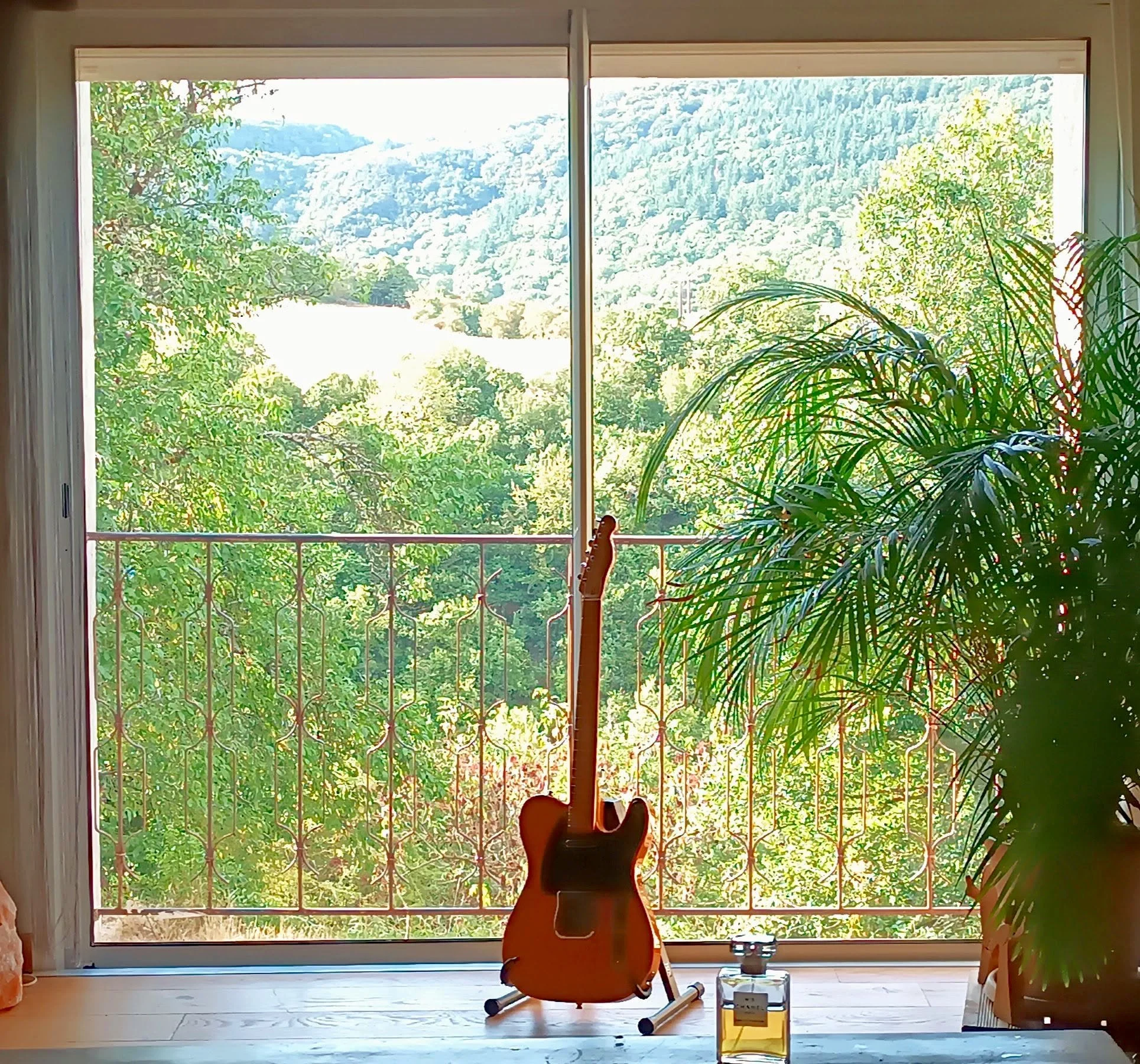 My breakfast window view to Lerab Ling