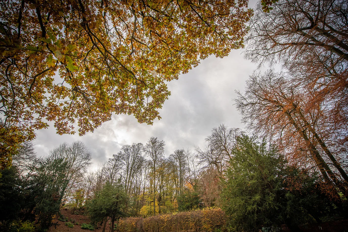 DSC_8065.jpg