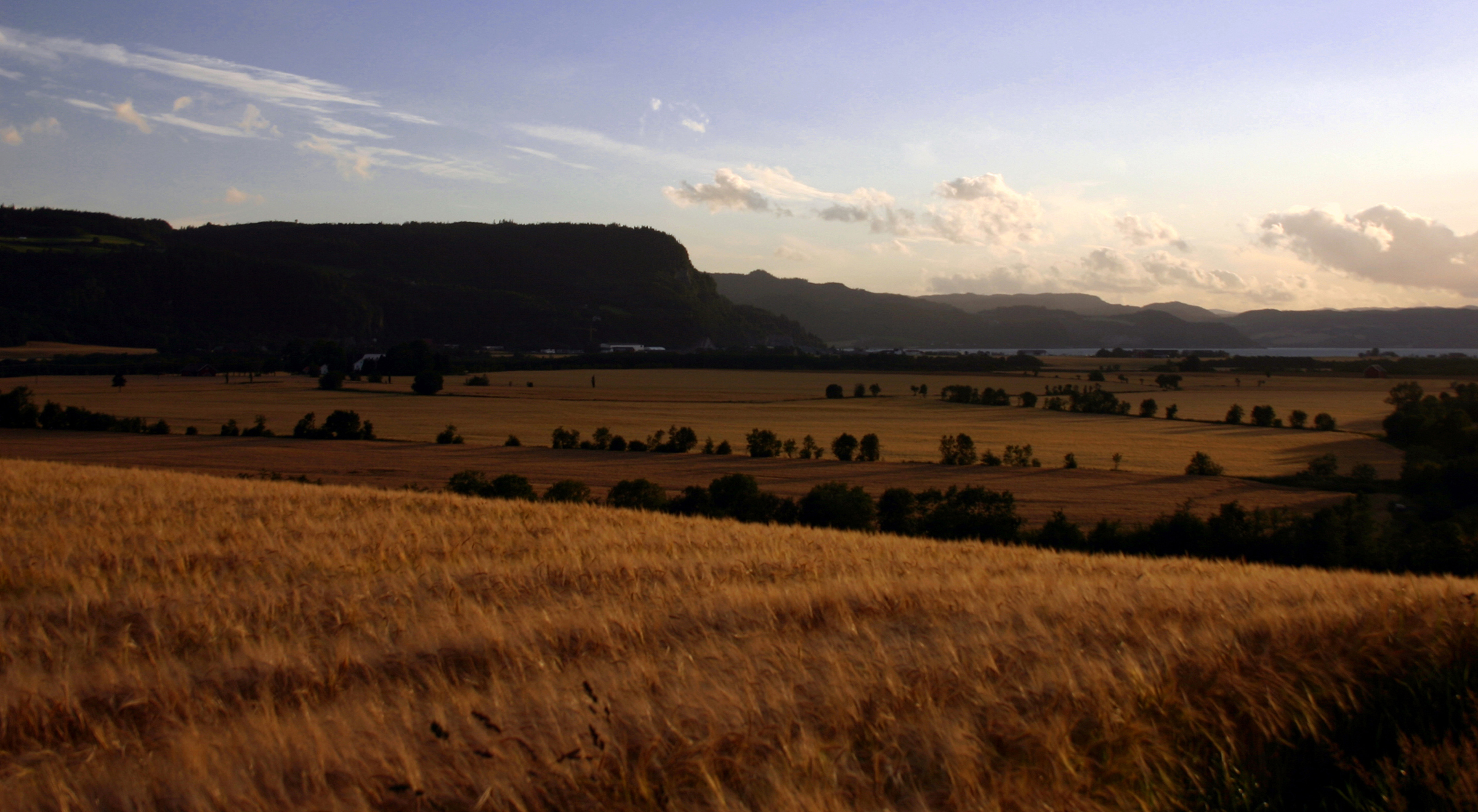200657_8783.jpg