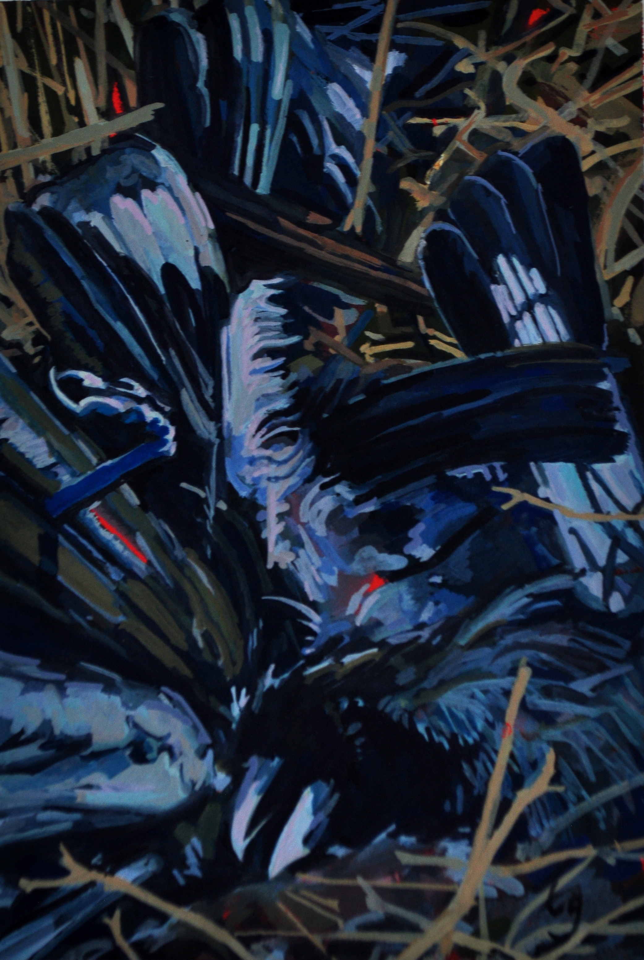 Homage to the Crow