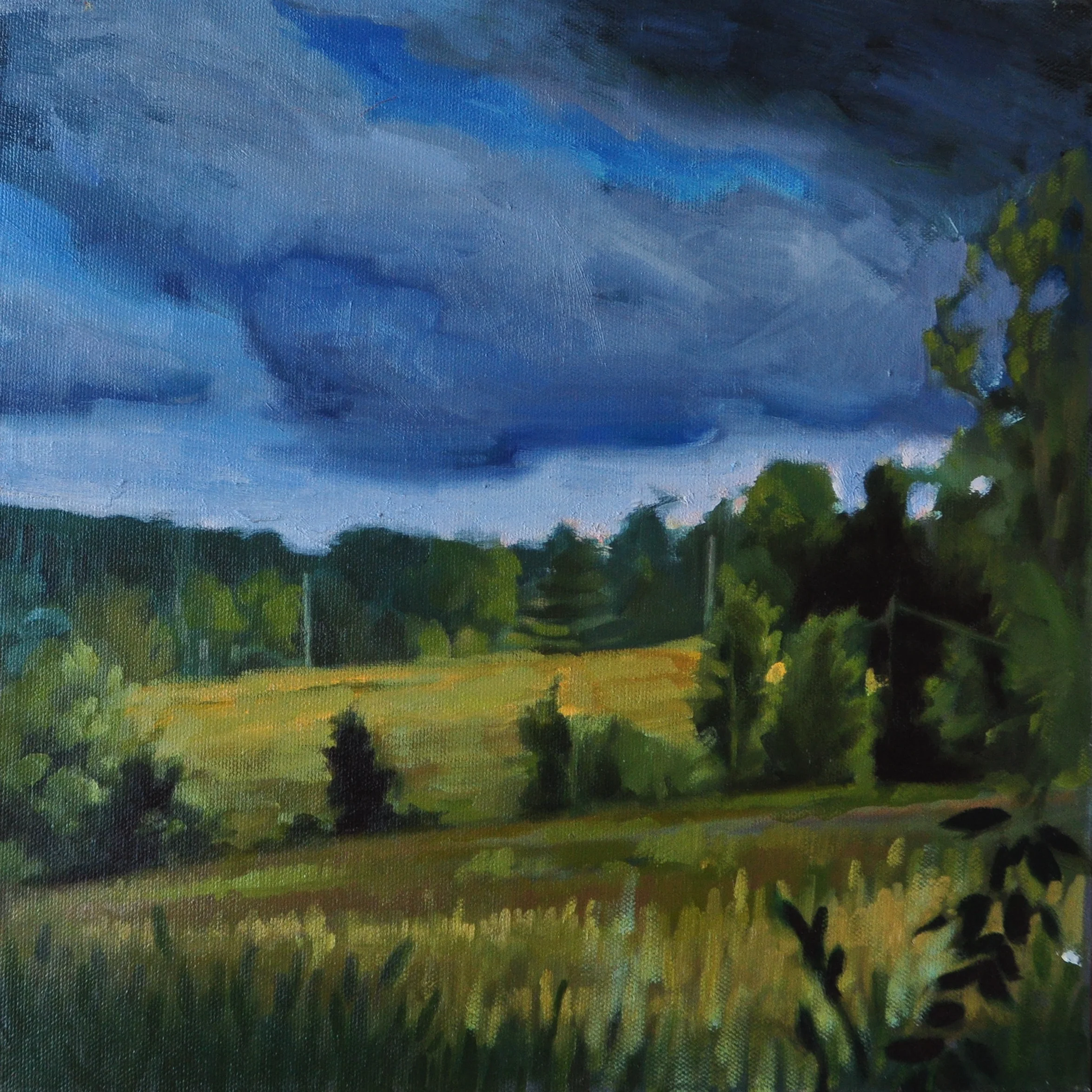 Sodus Storm oil on canvas 12x12 plein air