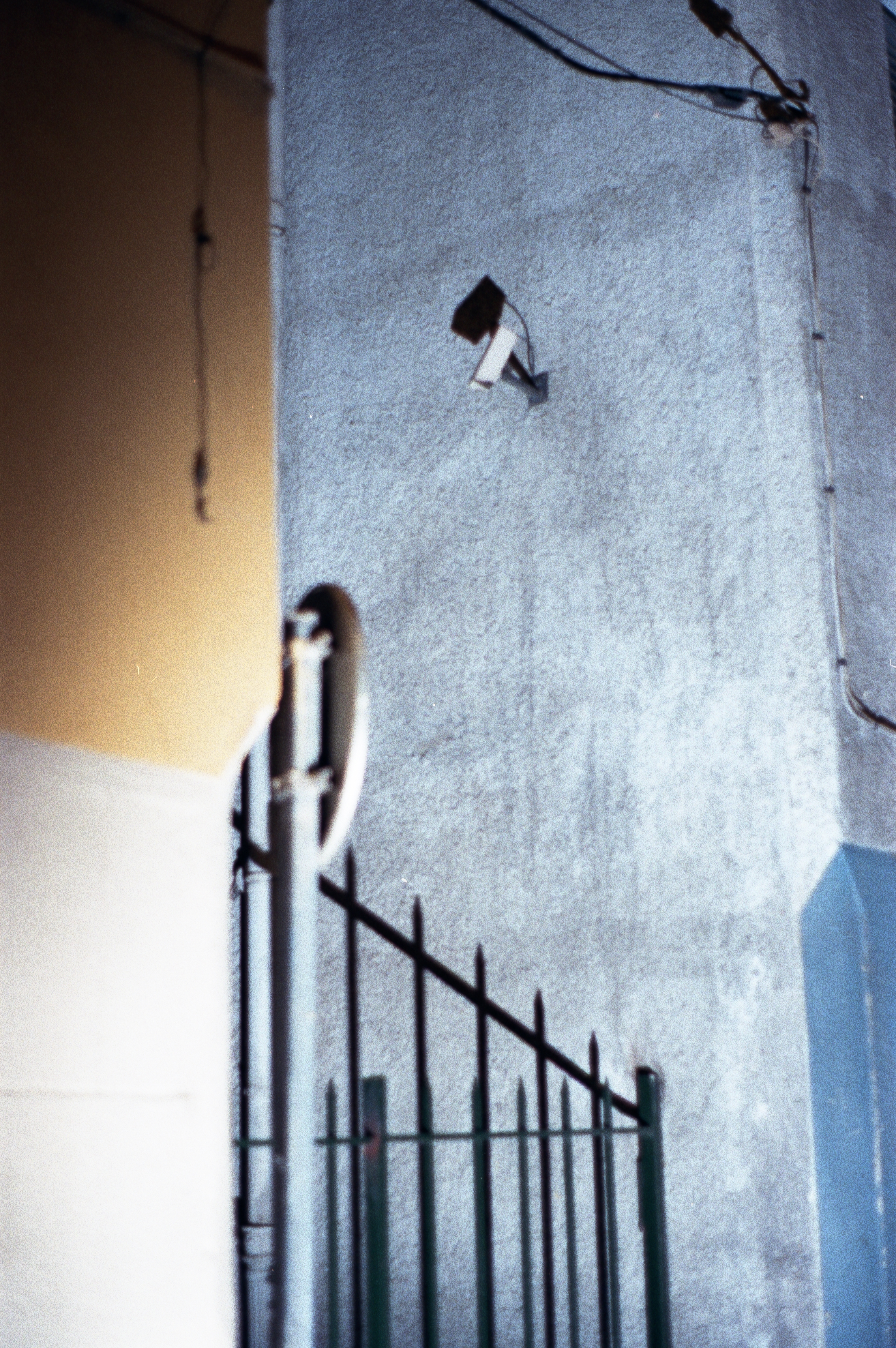 ColorNeg-025-2014-Perps179.jpg