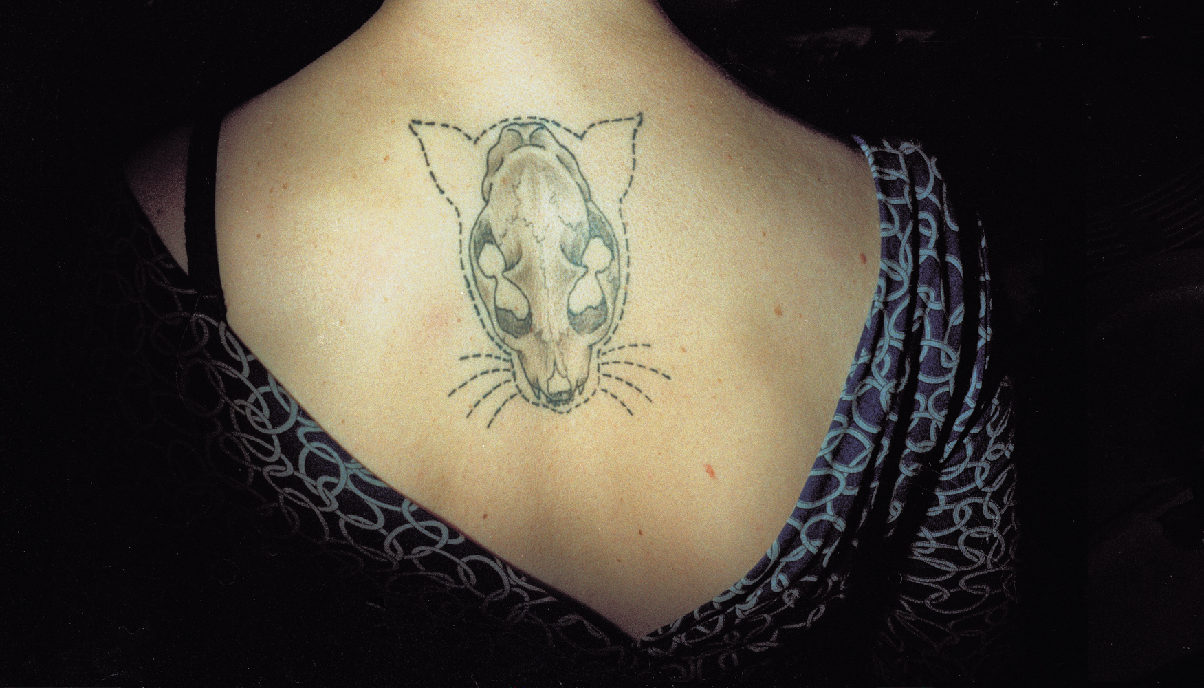 hassy colour neg 010-2012 cat back tattoo.jpg