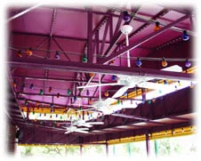 canopy-donpab2.jpg