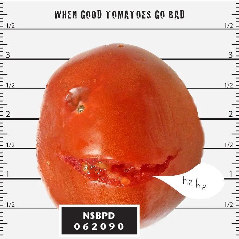 whengoodtomatoesgobad.jpg