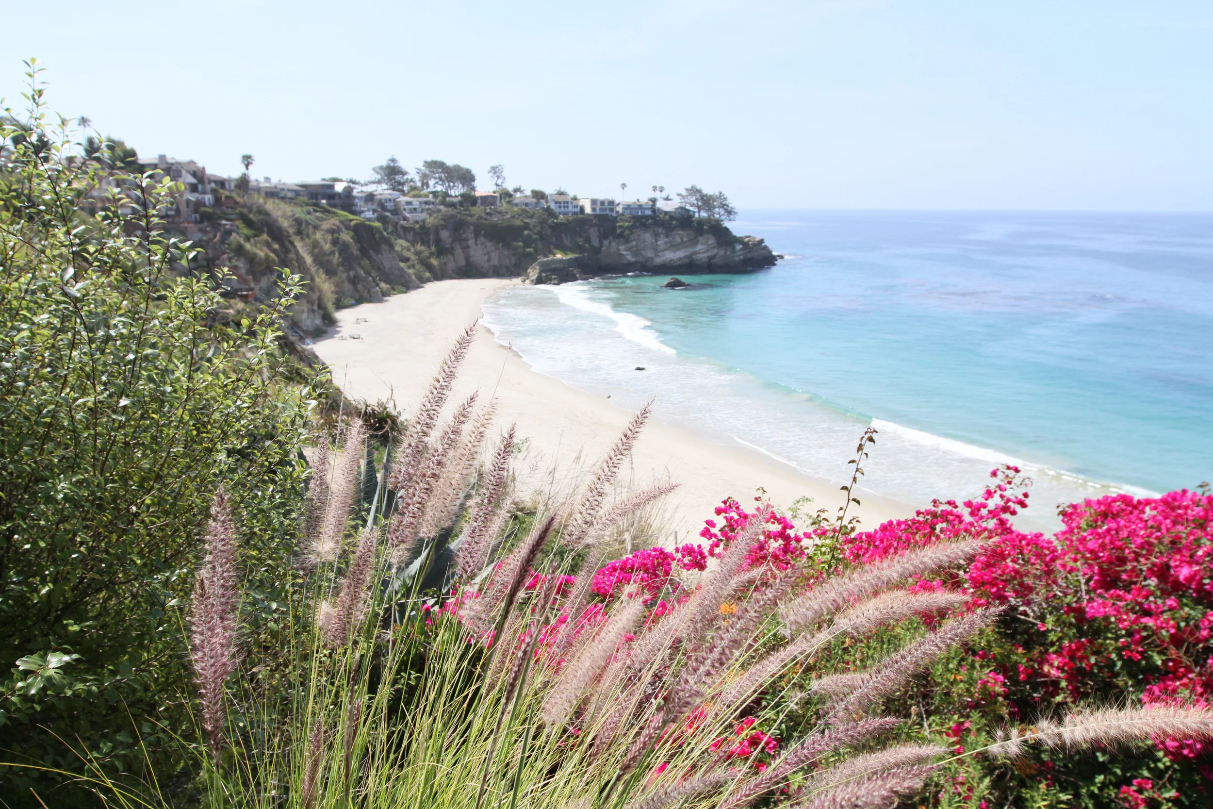 LAGUNA_347.JPG