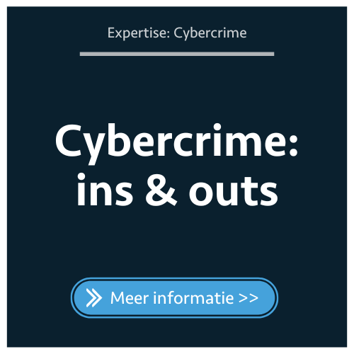 Cybercrime: ins &amp; outs