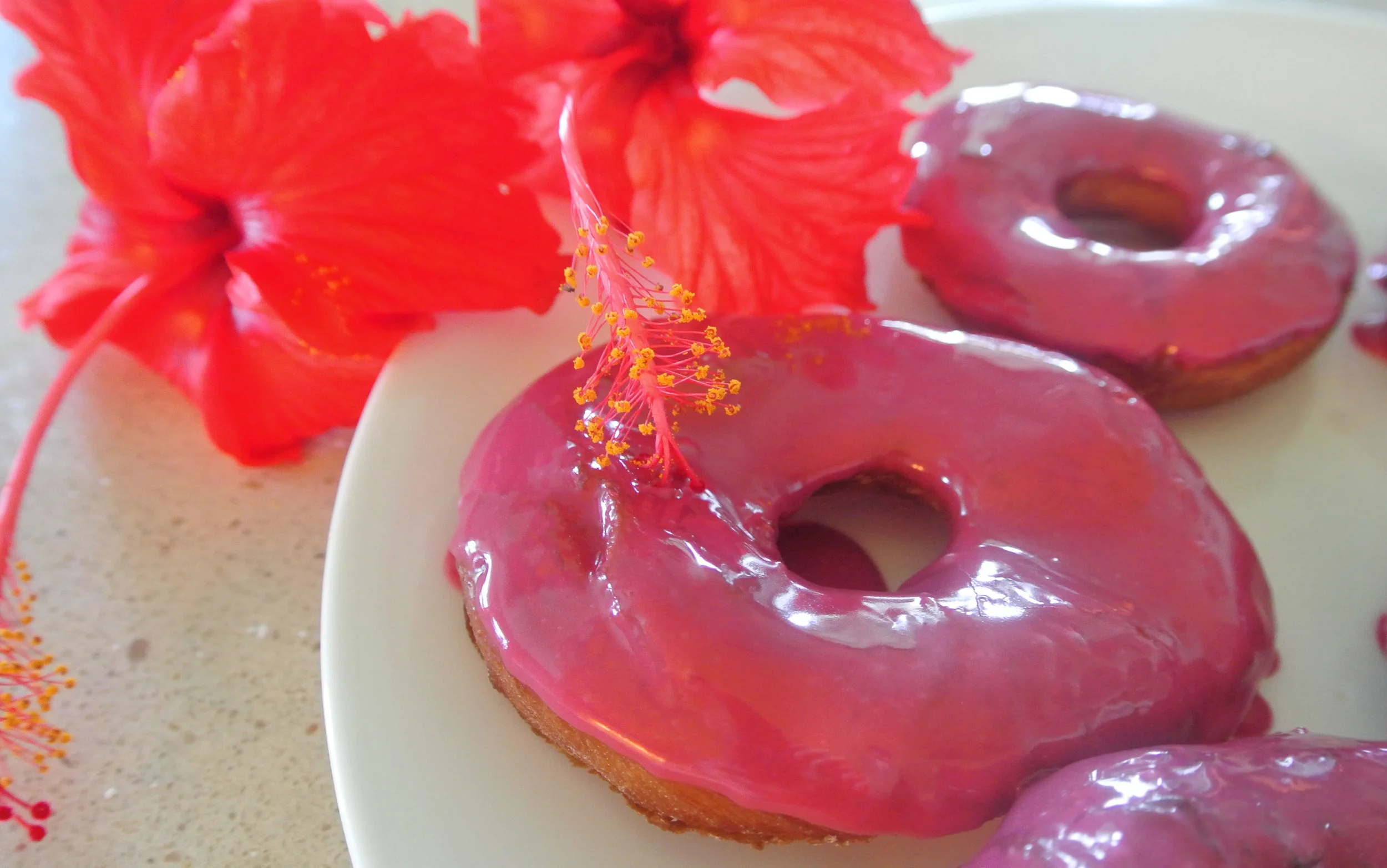 hibiscus.jpg