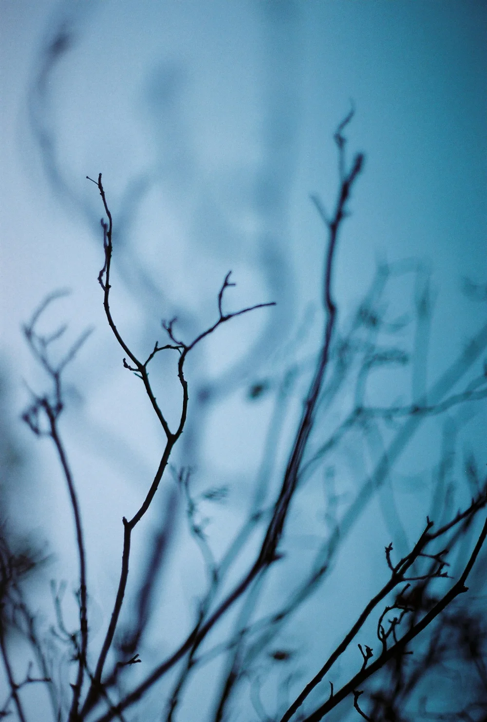 they speak in tongues unknown