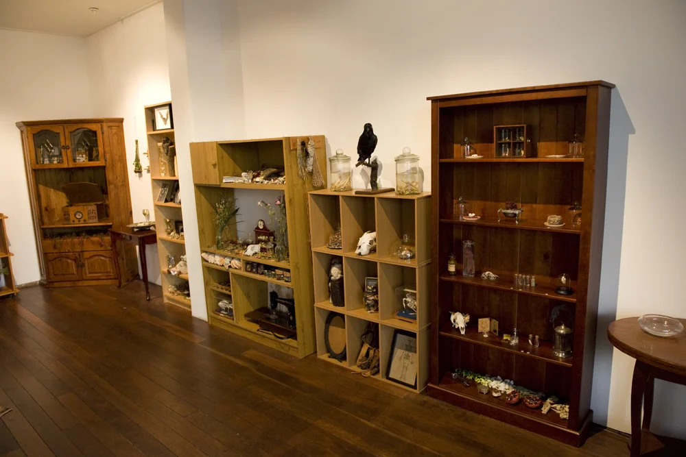 De Collectie