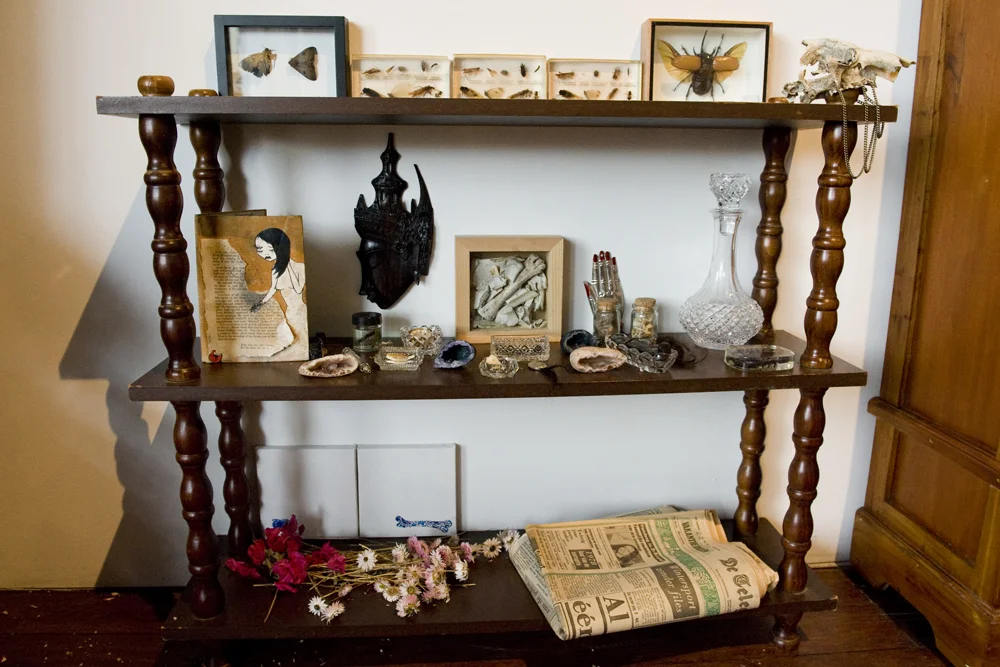 De Collectie