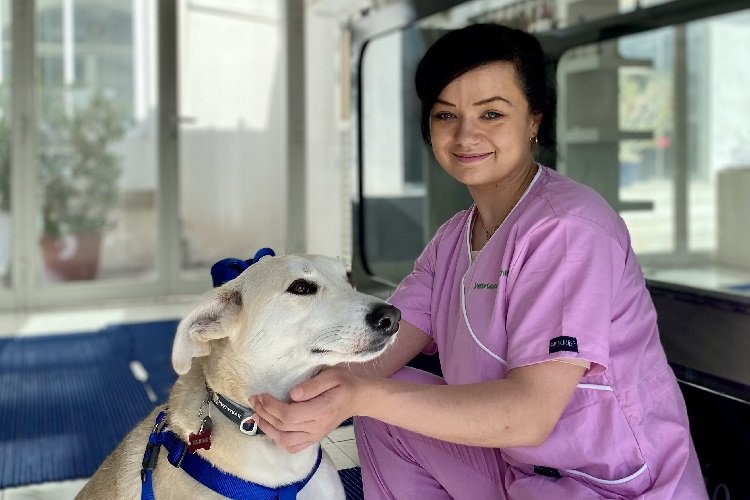 Physiotherapy — Umm Suqeim Veterinary Centre