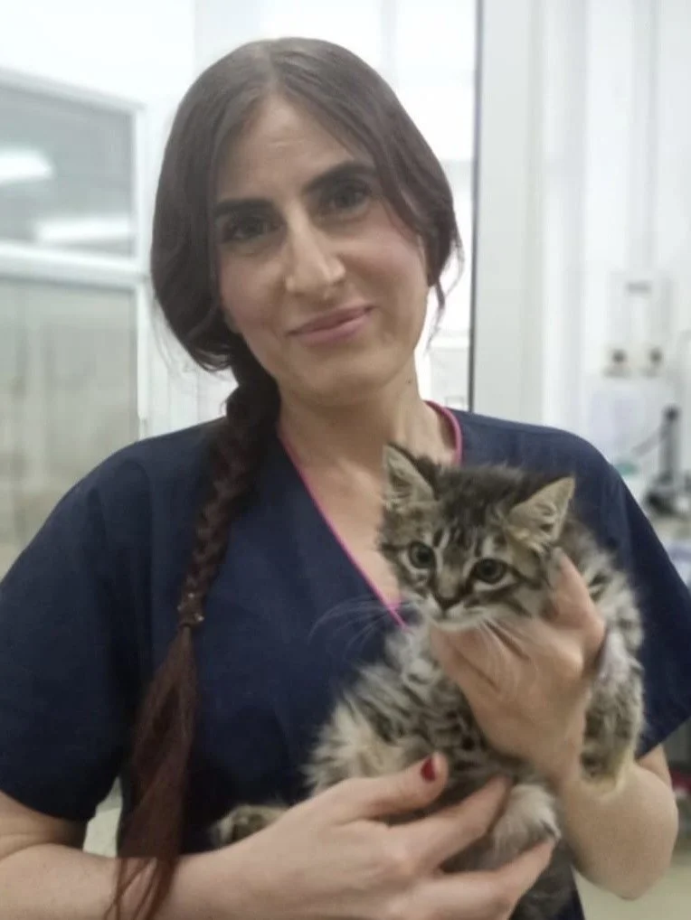 Nurses — Umm Suqeim Veterinary Centre