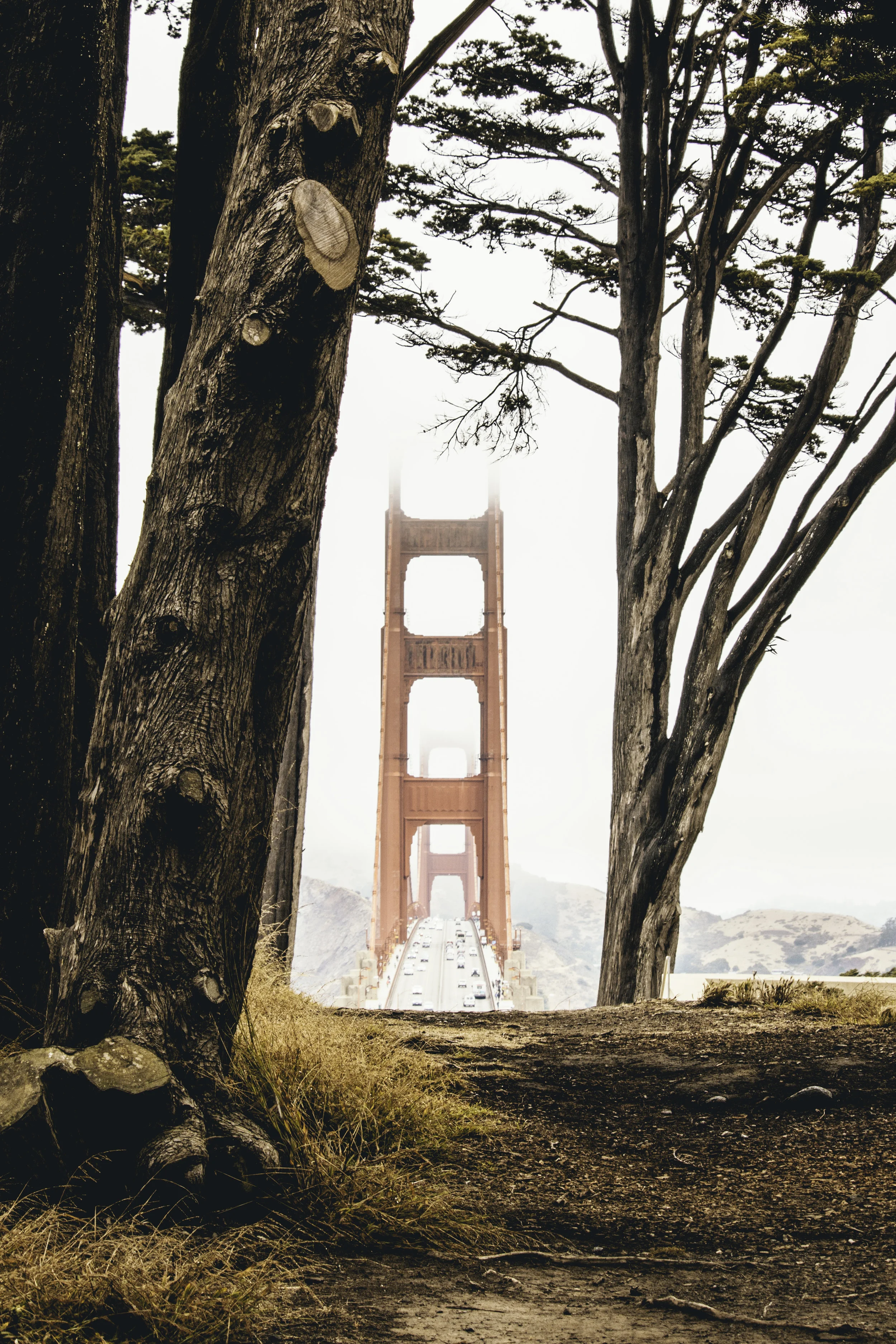 What We Can Learn from "The Rushing on of the Purposes of God" by Andrew Kaiser