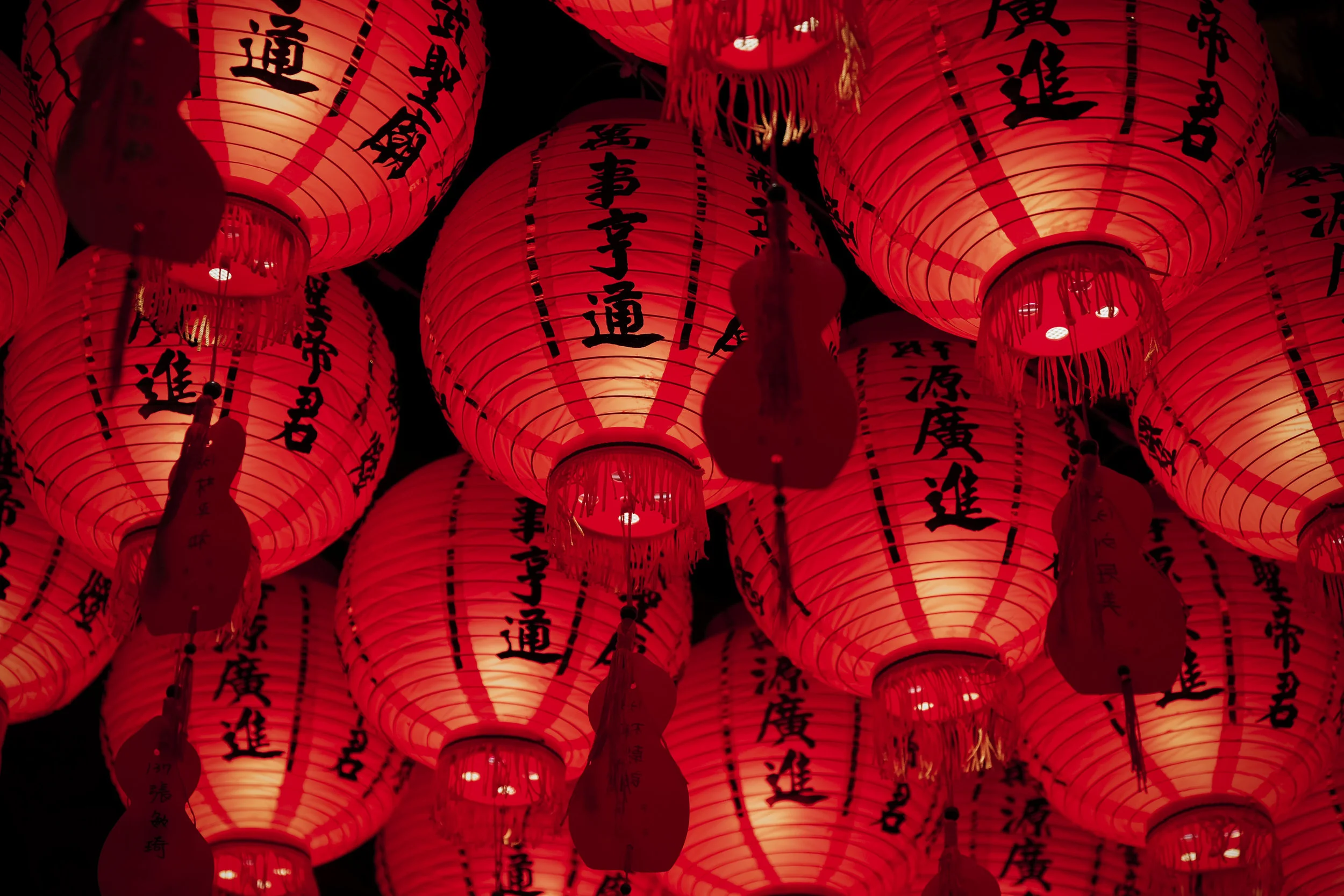 China’s Brightest and the Gospel: Case Studies