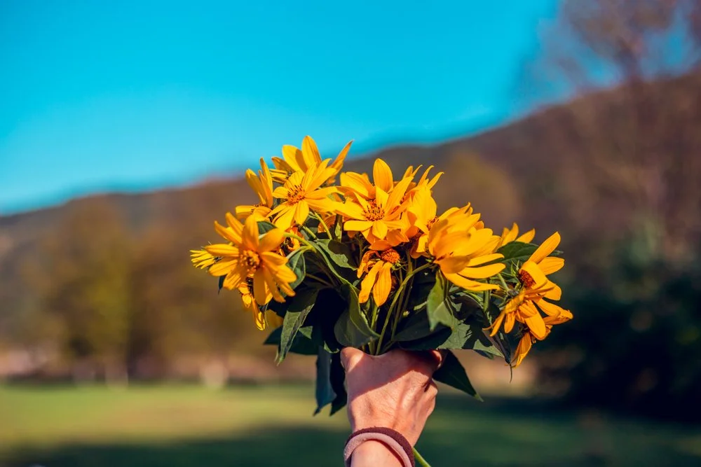 Give Thanks to the Lord!