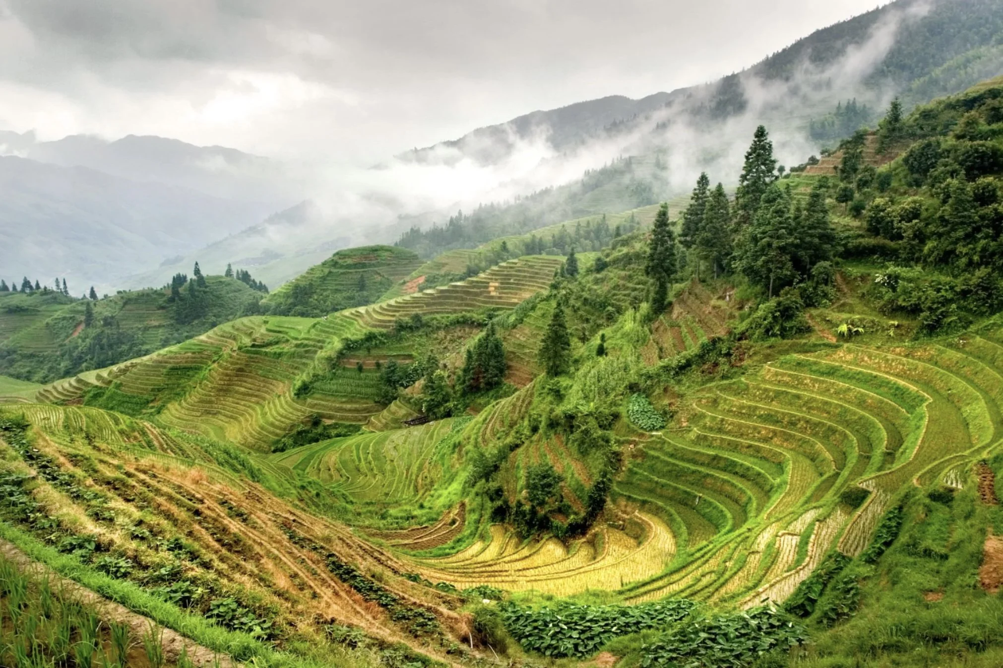 November 2025 Prayer Letter