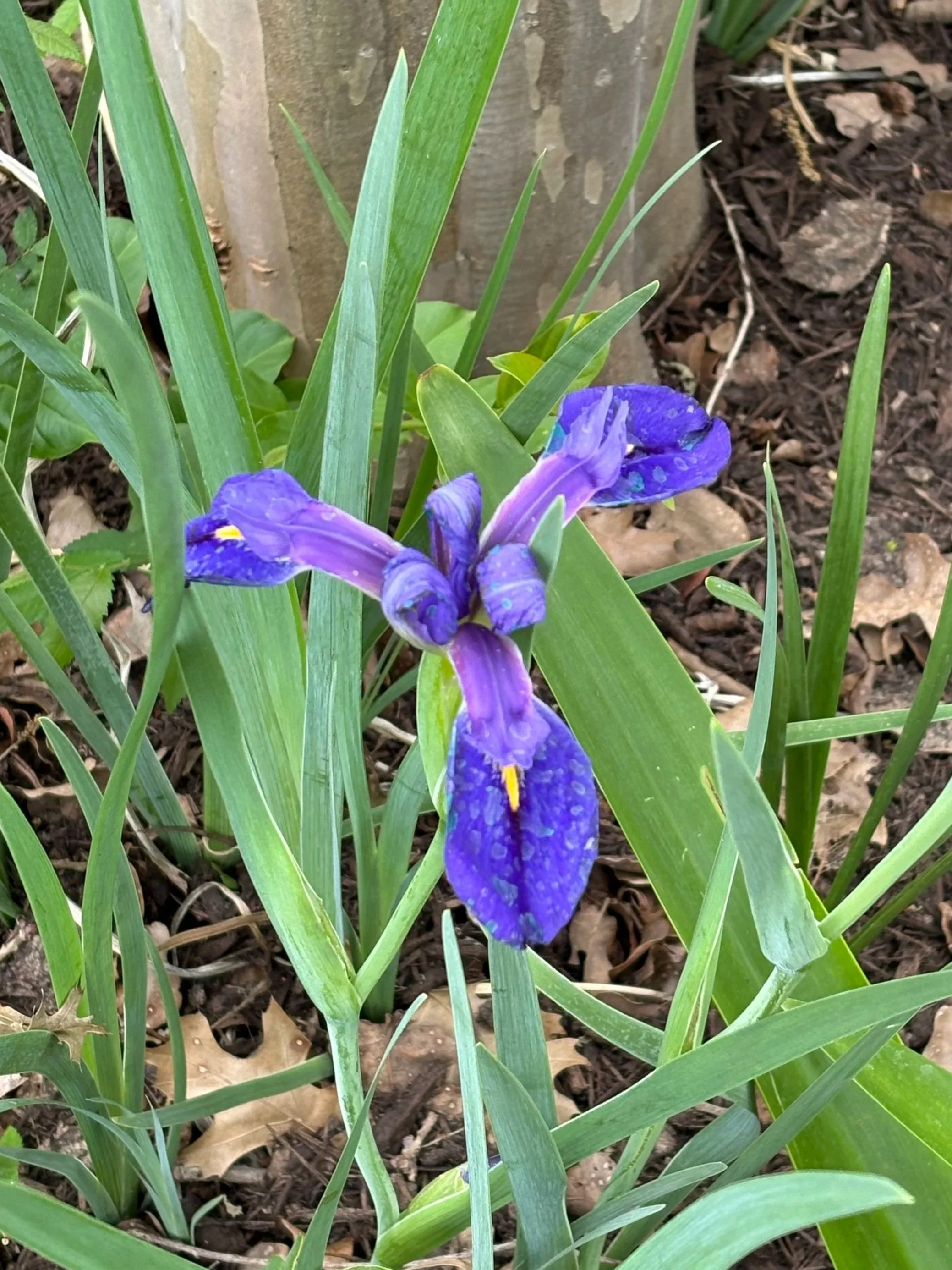 What Do I Talk About?