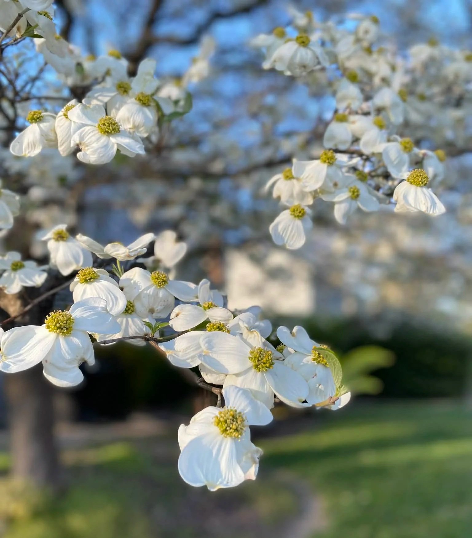 April 2026 Prayer Letter